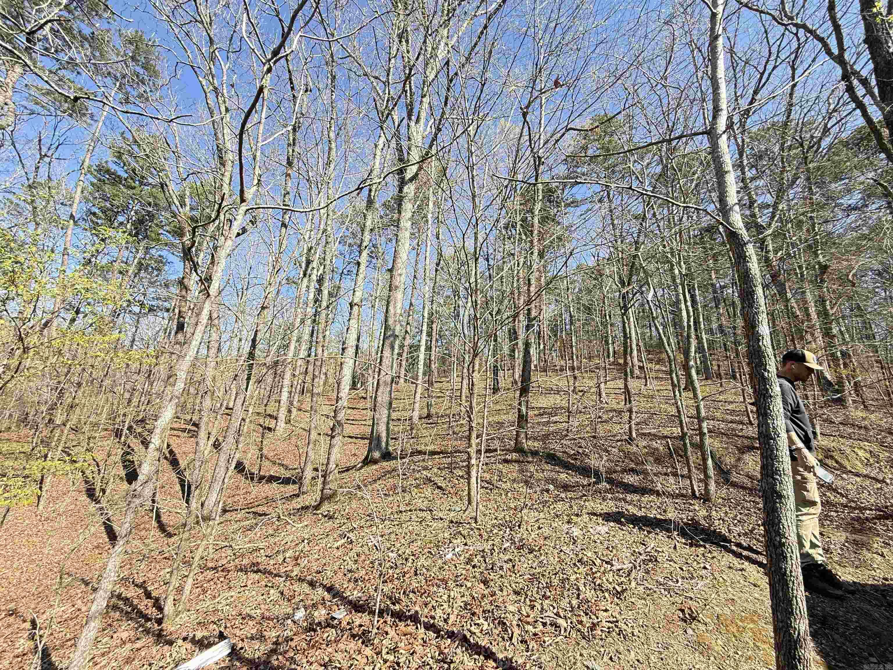 Not in Subdivision - Land