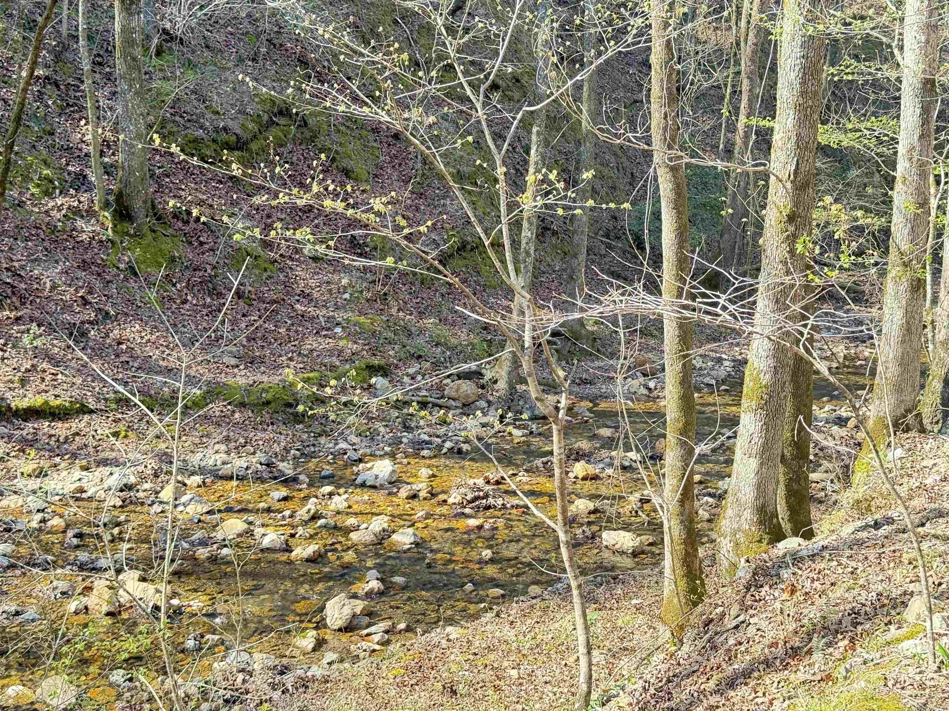 Not in Subdivision - Land