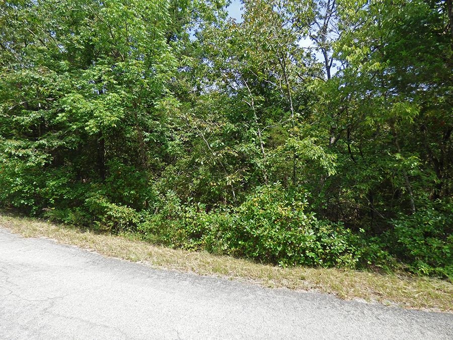 Two Lakefront Lots on Lake Chanute with Privacy - These two lots sit on the Lake Chanute waterfront. They would be great for building the you have always wanted or a cabin get away. Lake Chanute is a peaceful lake and you would also have plenty of privacy.