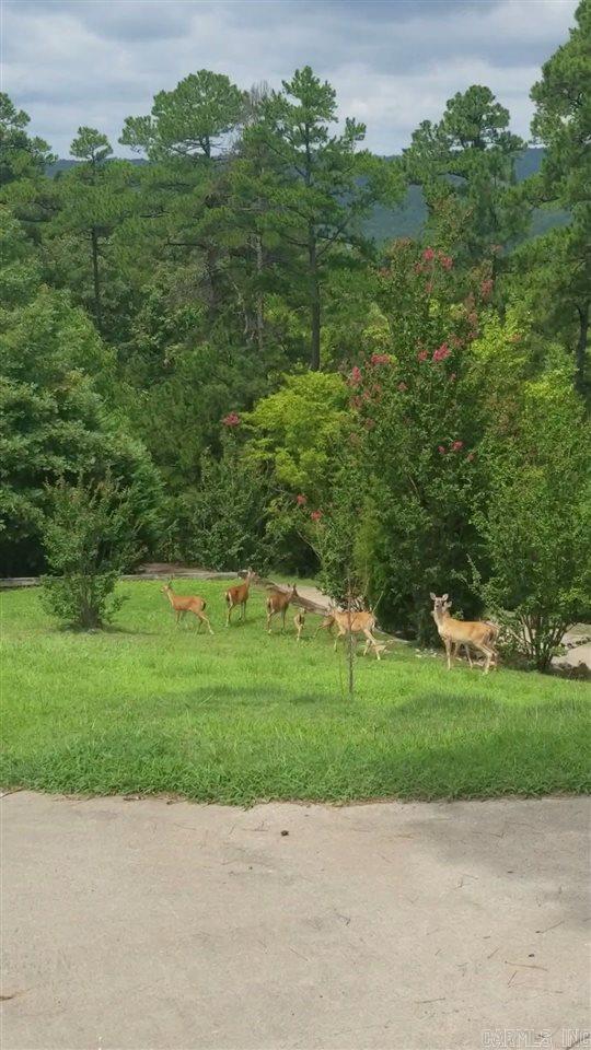 ON GOLDEN POND - Residential