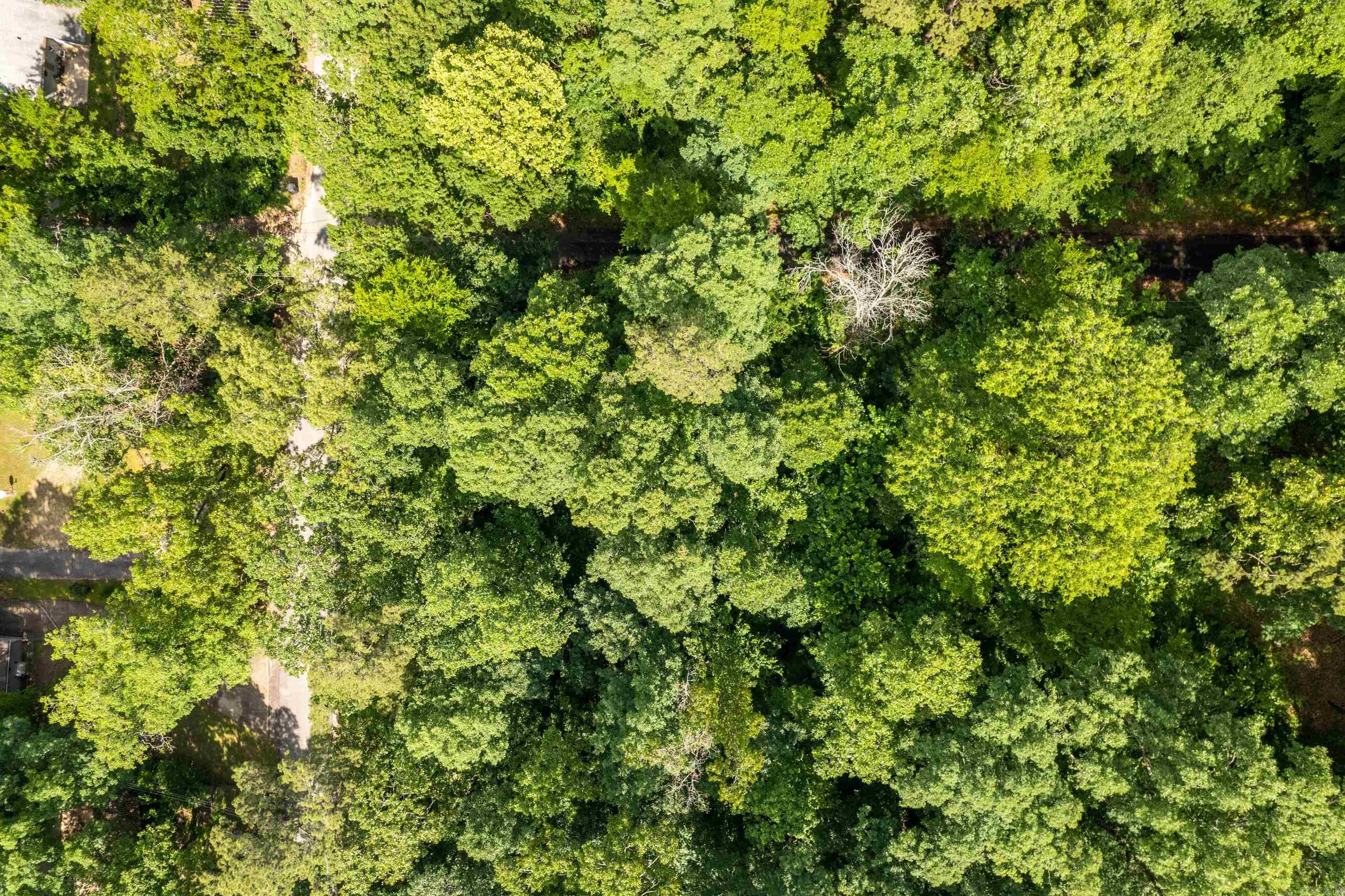 Arkridge Lake Estates - Land