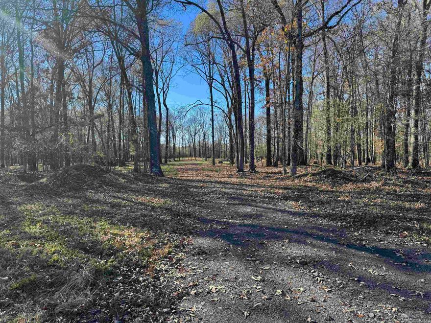 This 6.34+/- lot is the perfect place to build your home. Minimum square footage of 1700. No mobile homes.