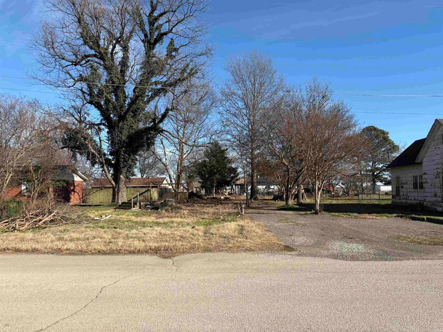 Welcome to the 204 NE Main St. in Monette, Arkansas. This lot sits in the heart of town with several nearby amenities. You have a grocery store, 2 convenience stores, restaurant, 2 banks, a pharmacy and hardware store all within a couple minutes. This could be a great lot to build a small home on. This could be a great opportunity. Call now to go see it before it's gone!