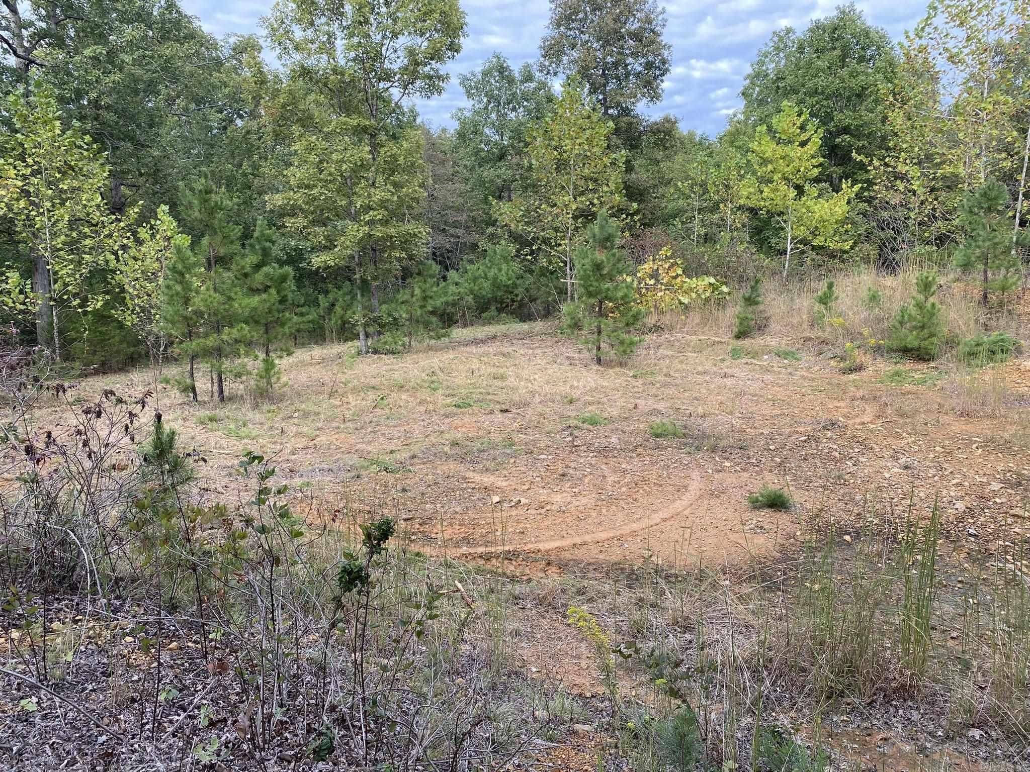 Sandy Creek - Land