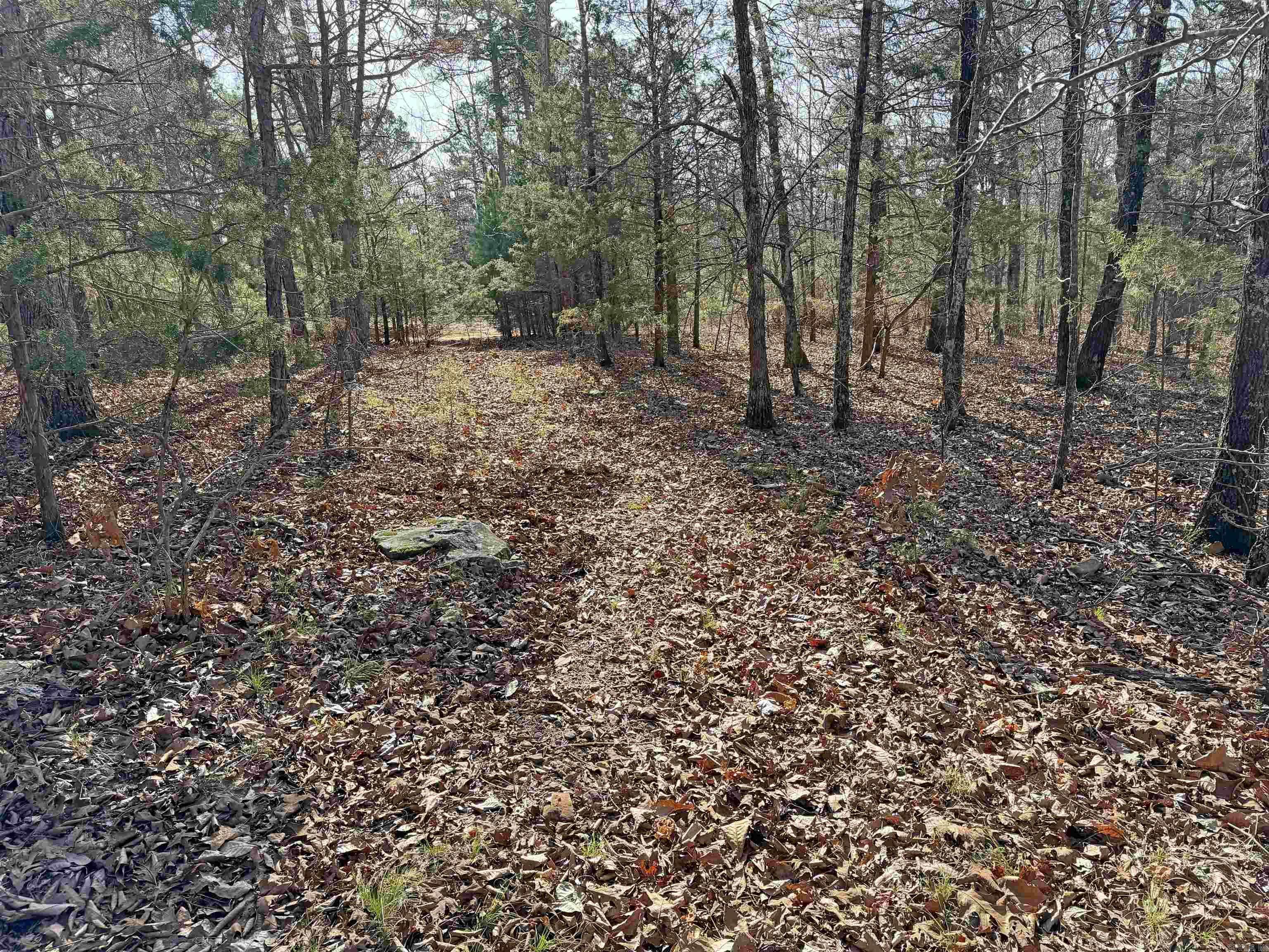 Metes & Bounds - Land