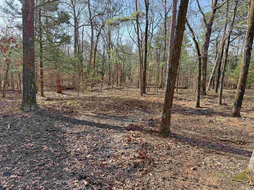 30 acres with a great mix of flat ground and gentle slopes, giving you plenty of options for building, hunting, or just enjoying the outdoors. The property is mostly wooded for privacy but also has some cleared areas ready to use. A seasonal creek runs through the land and there’s also a natural spring on the property. Utilities are already in place with power and water available. A camper will convey with the property and is being sold as-is. Whether you're looking for a hunting spot, a weekend getaway, or a future homesite, this property has a lot to offer.