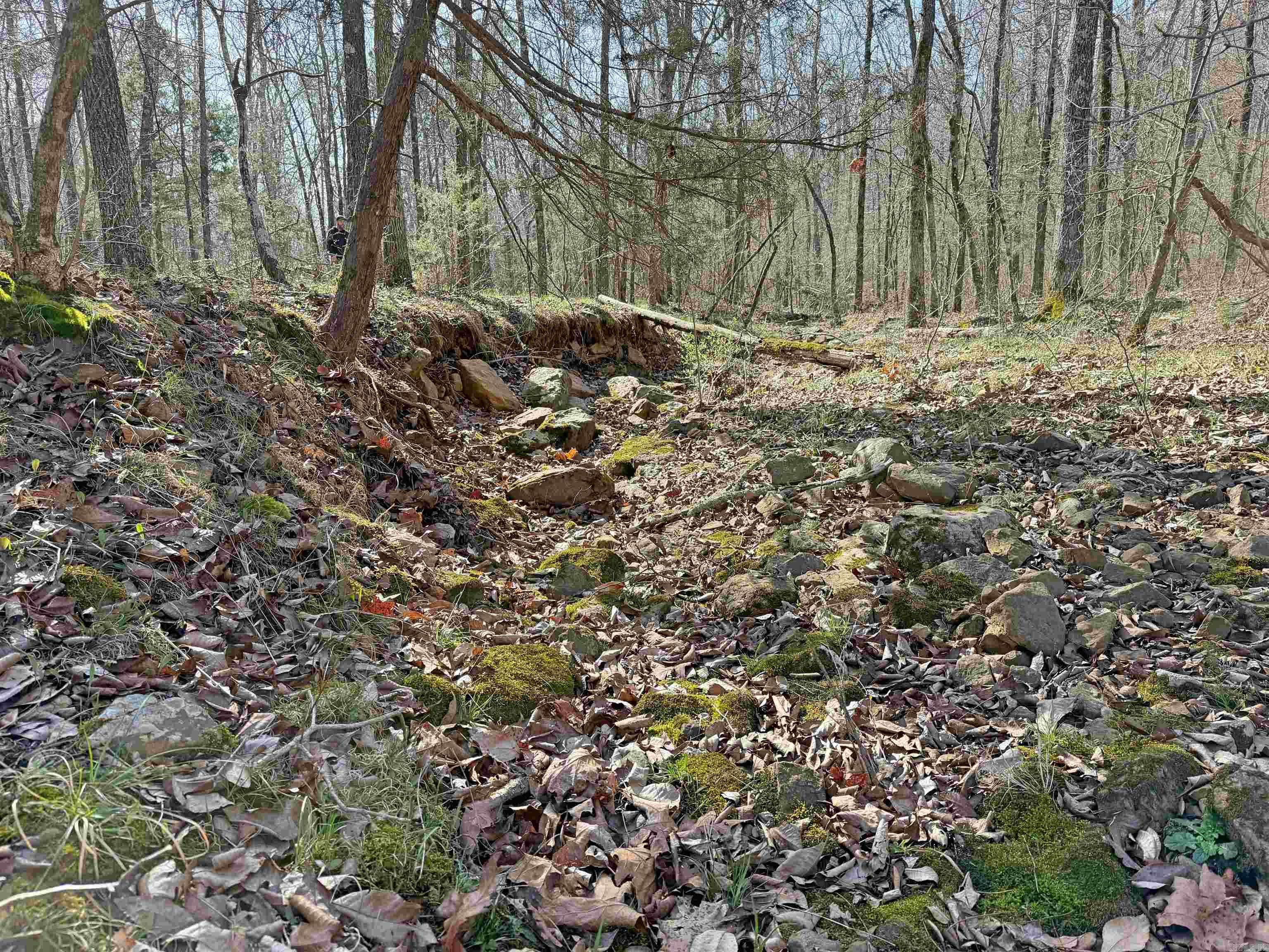 Metes & Bounds - Land