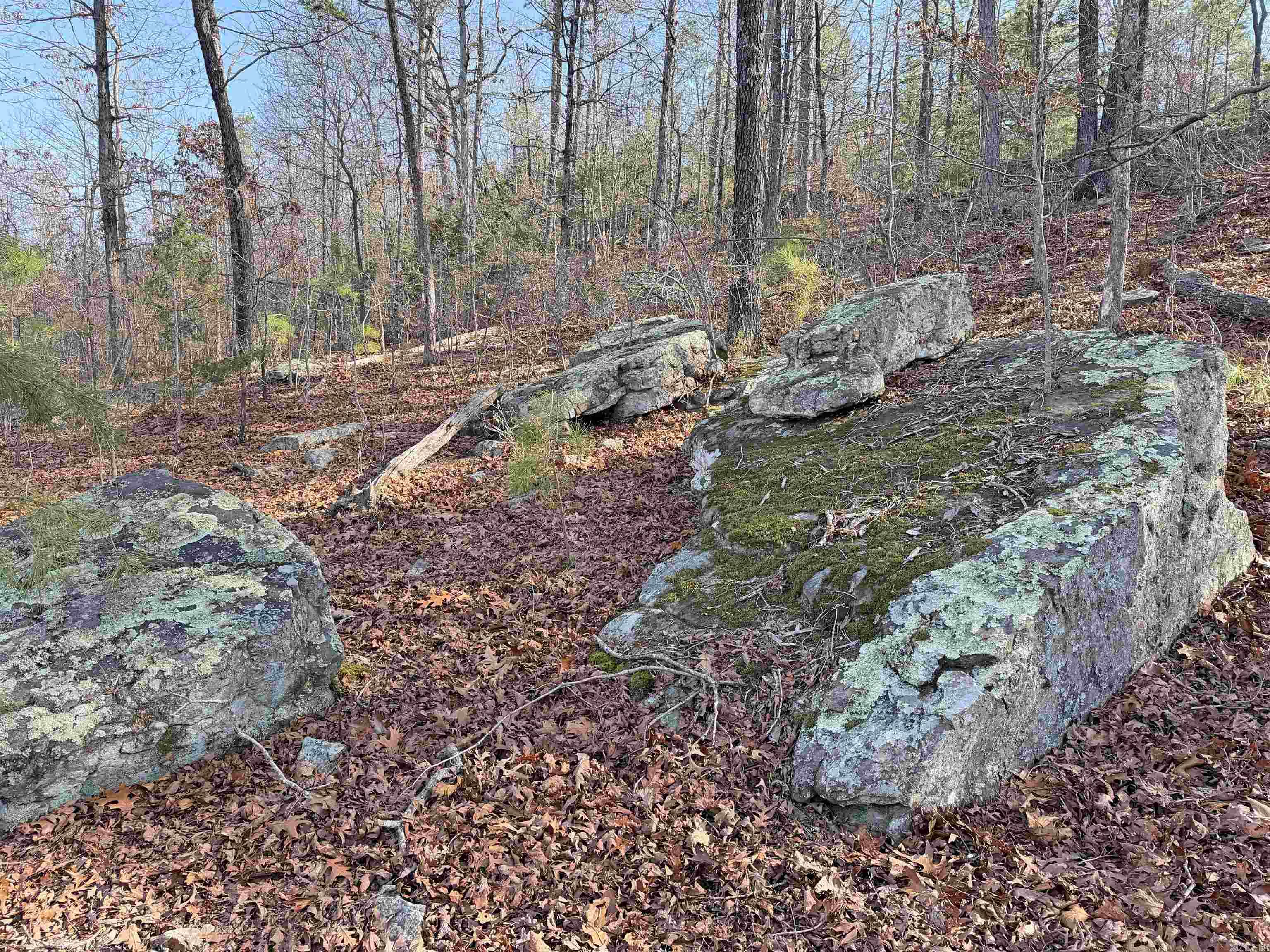 Metes & Bounds - Land