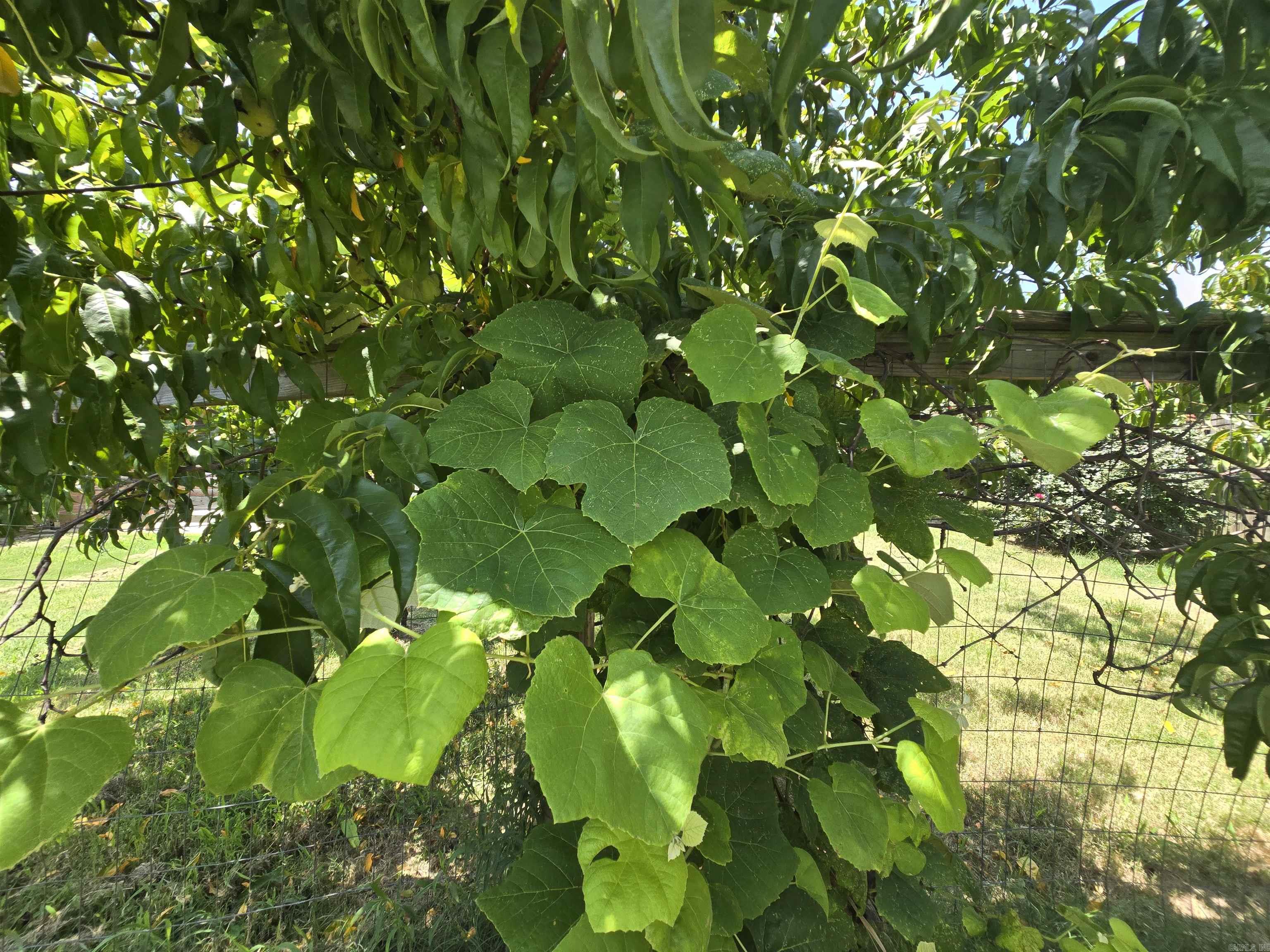 BROOKLAND HILLS - Residential