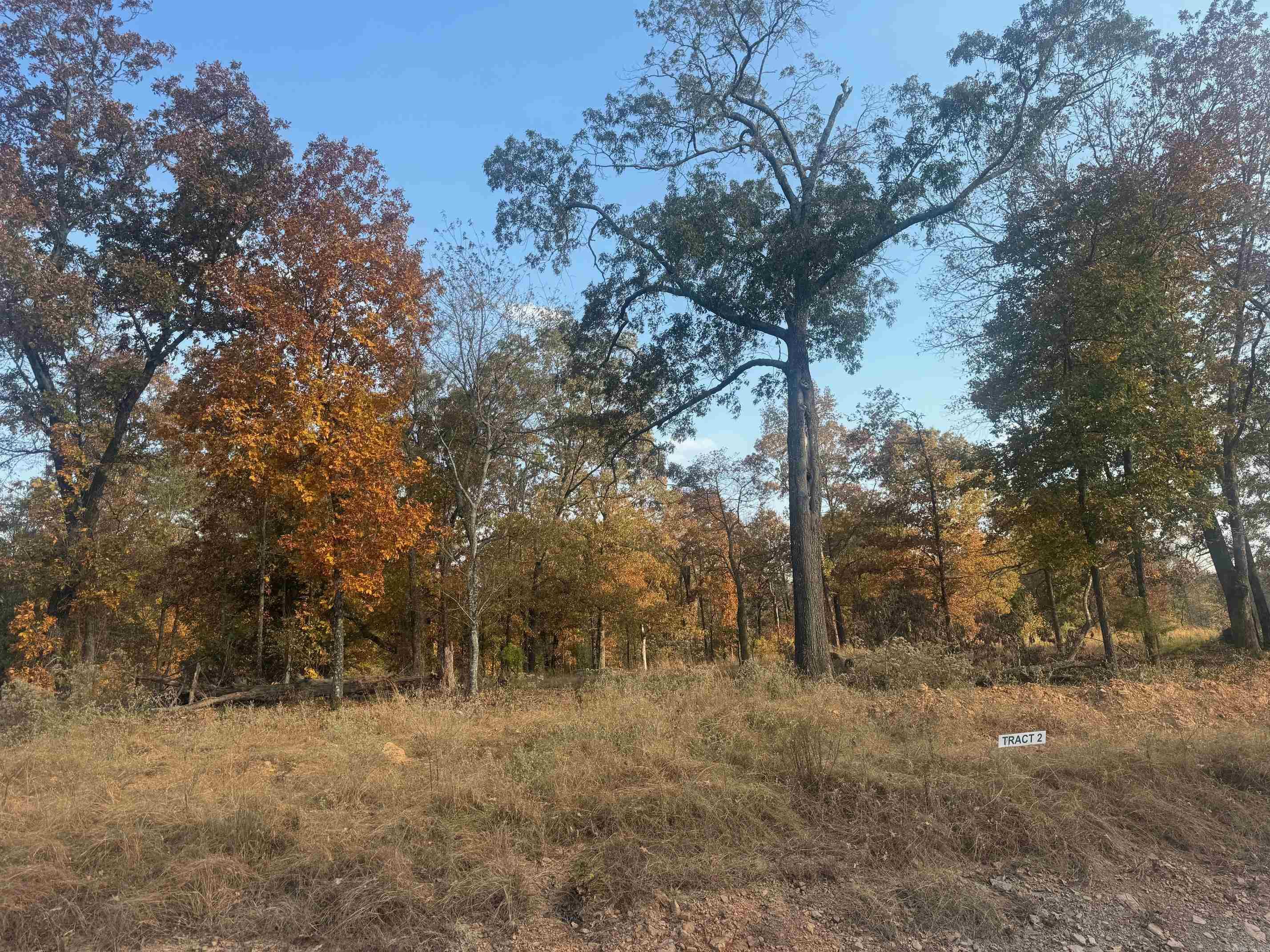 Perfect place to build your dream home!! Large building tracts in a quiet and secluded area, yet close to town! Beautiful homes surrounding this new area. Road to be chip sealed by developer. Minimum build 2200 heated and cooled sq feet. Beebe School District.