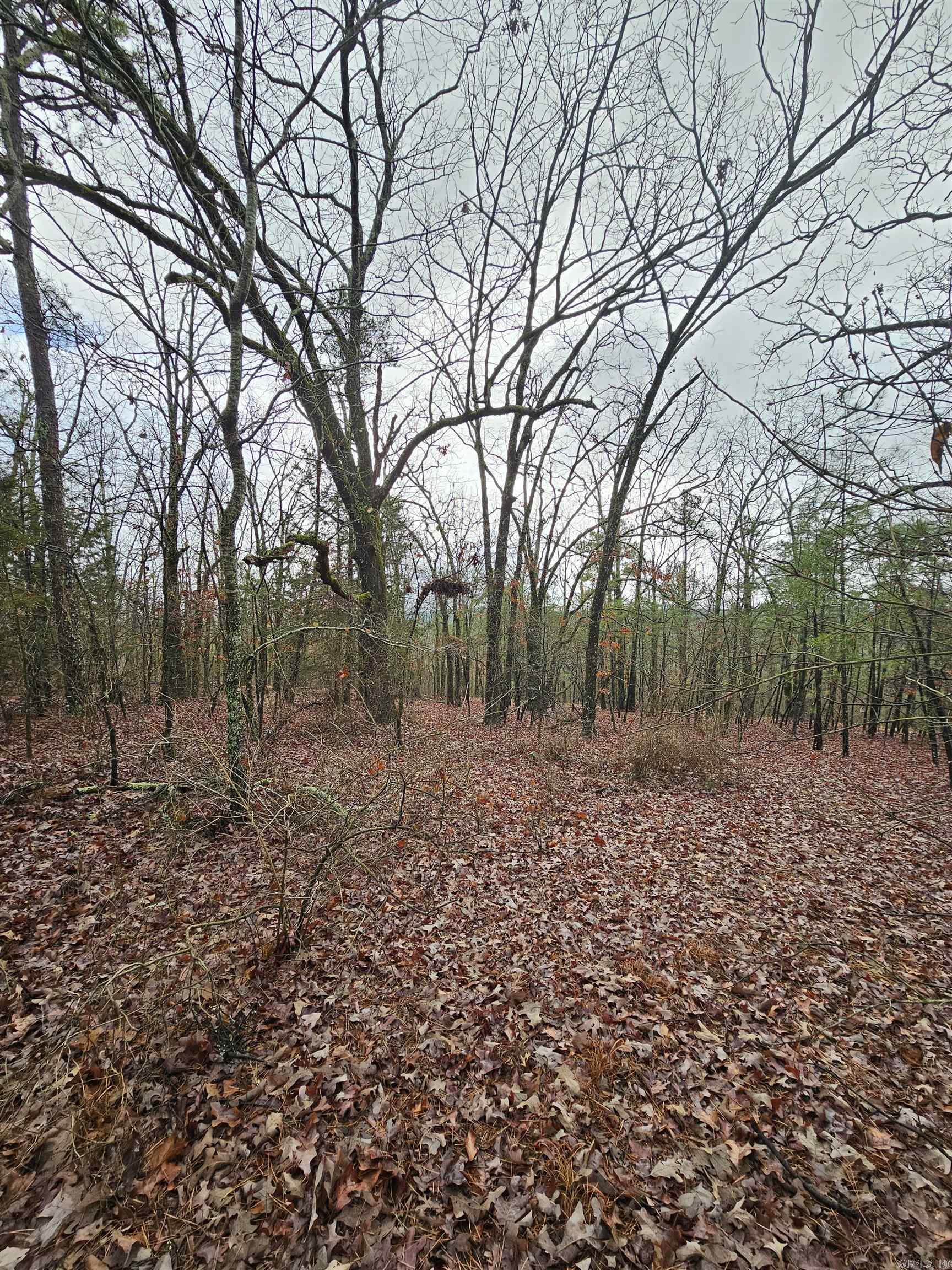 River Place I Revised - Land