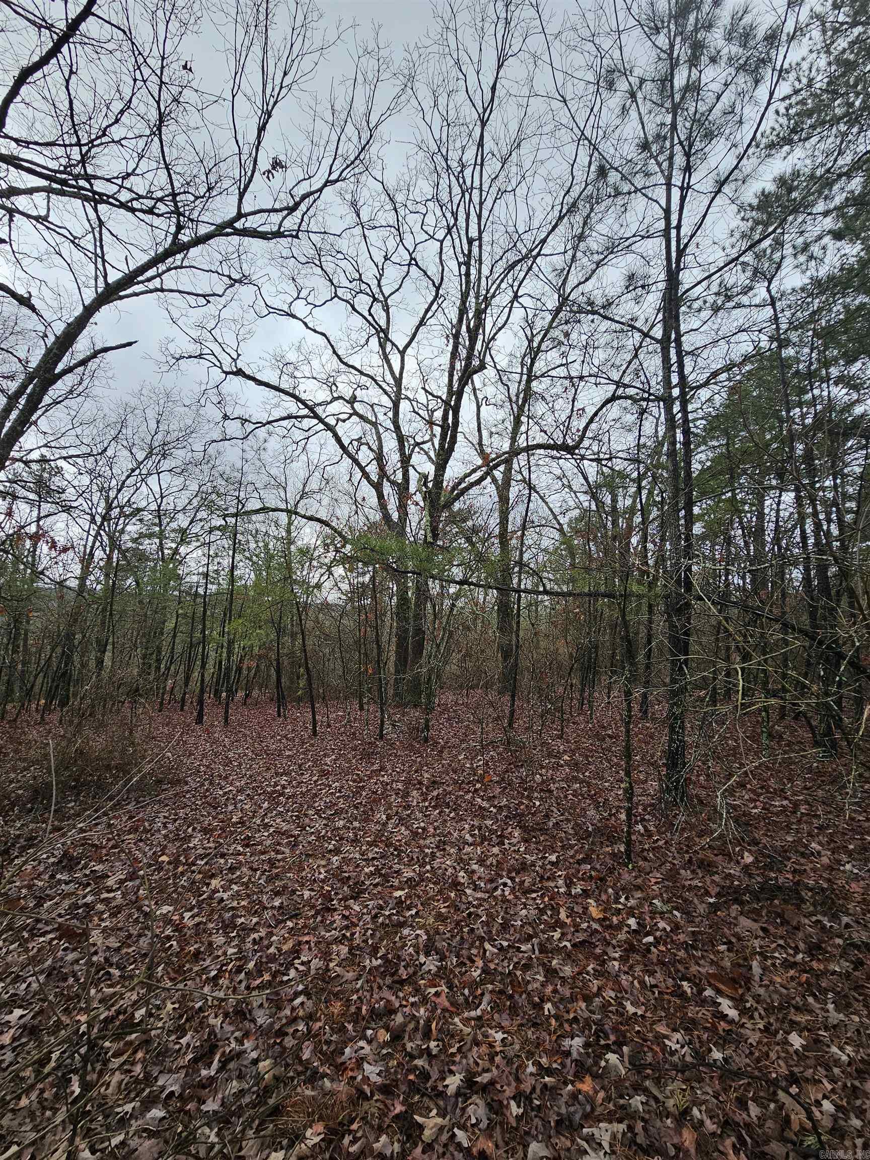 River Place I Revised - Land