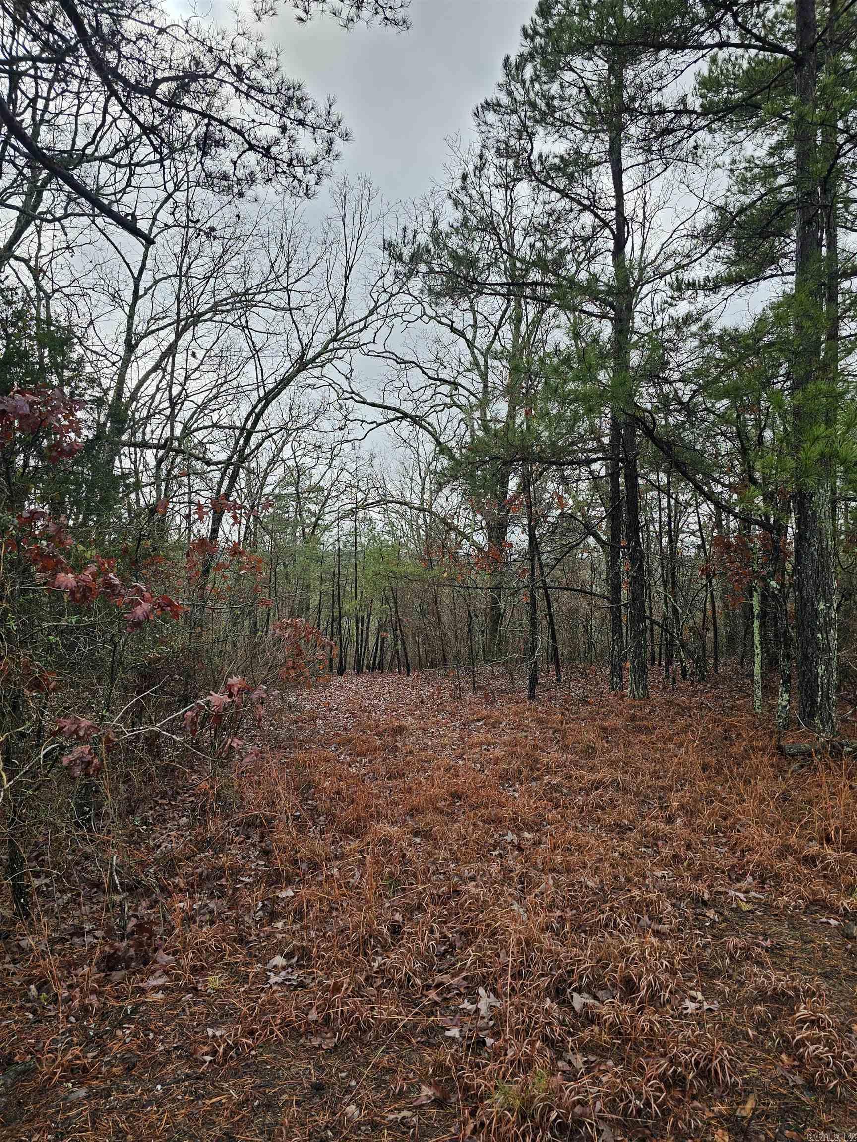 River Place I Revised - Land