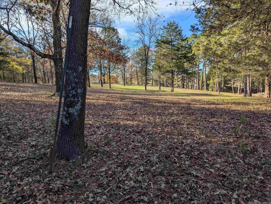 This 1.12-acre lot is located within the city limits of Conway, AR, offering a prime opportunity for residential development. The property features mature trees, providing both privacy and a natural setting. Ready to build, it is equipped with Conway Corp water and electricity, making it a convenient and well-prepared site for your new home. Enjoy the benefits of city living while being surrounded by nature on this spacious lot. Brand new survey.