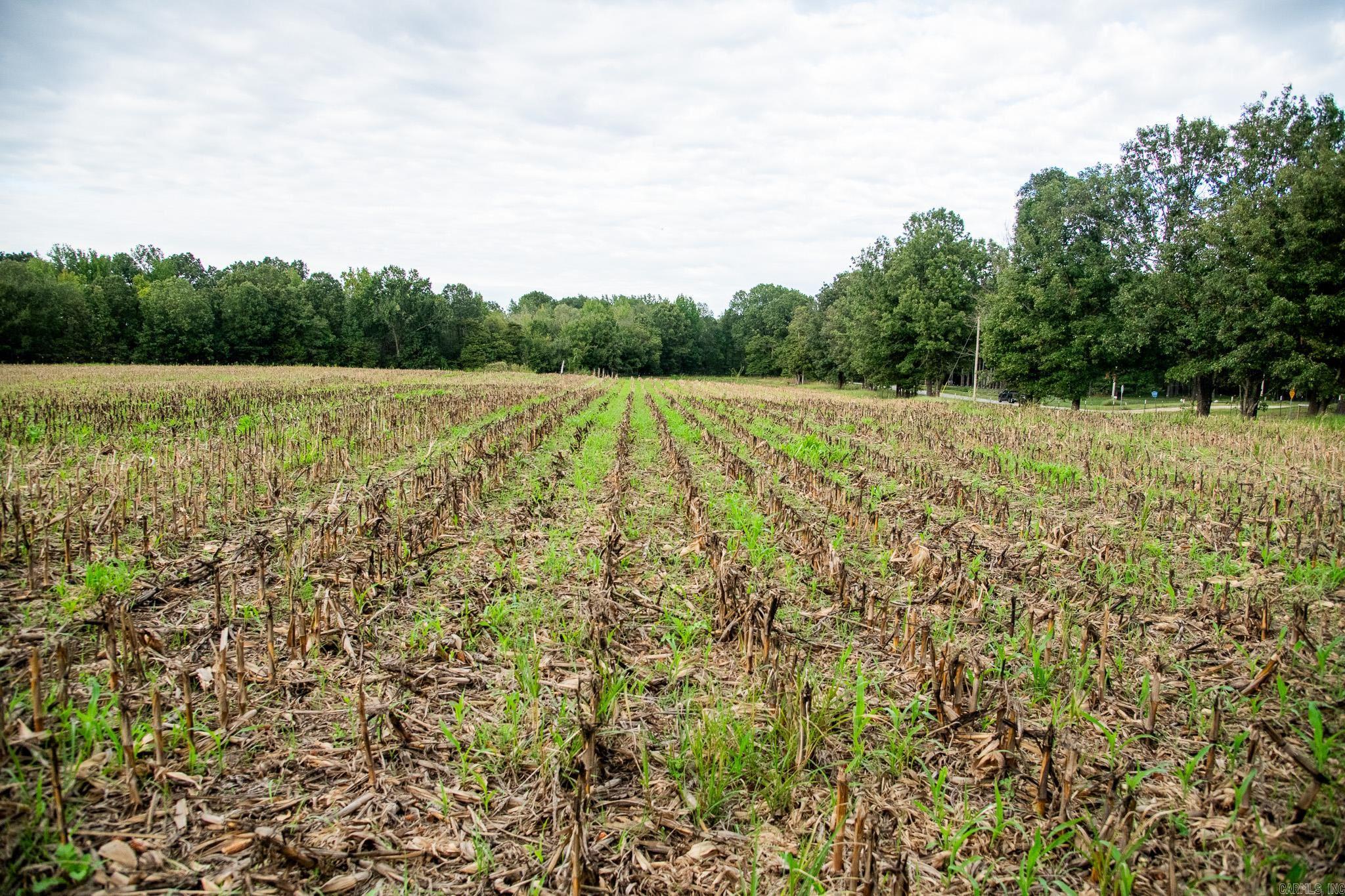 Not in Subdivision - Farm