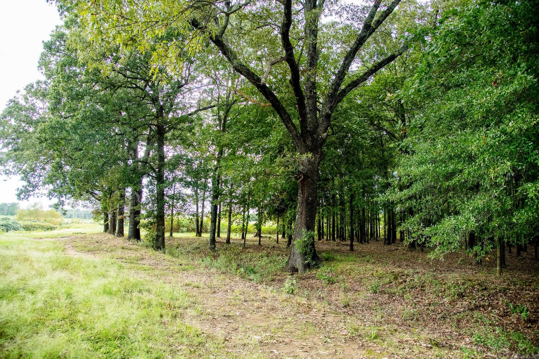 Not in Subdivision - Farm