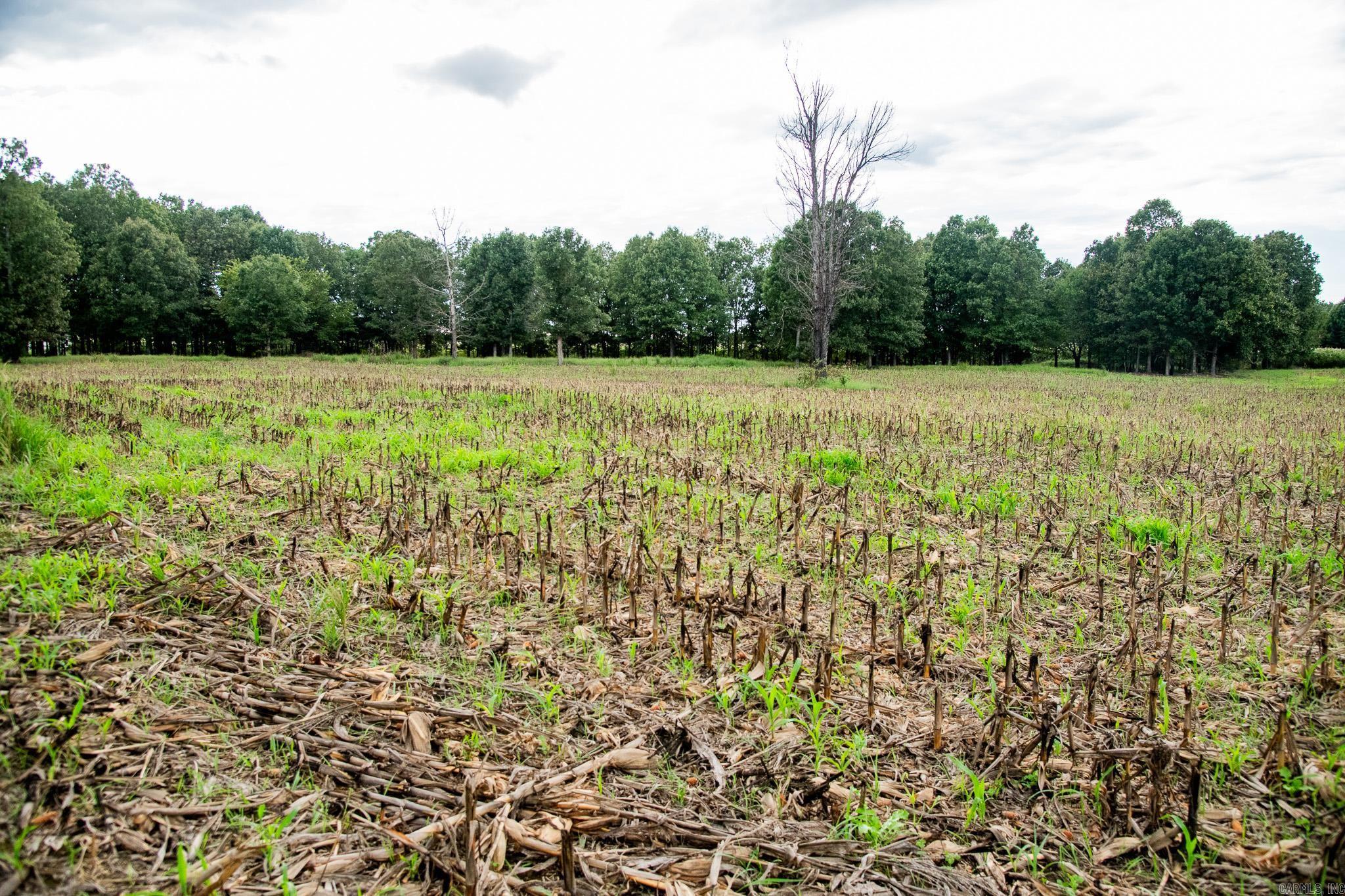 Not in Subdivision - Farm