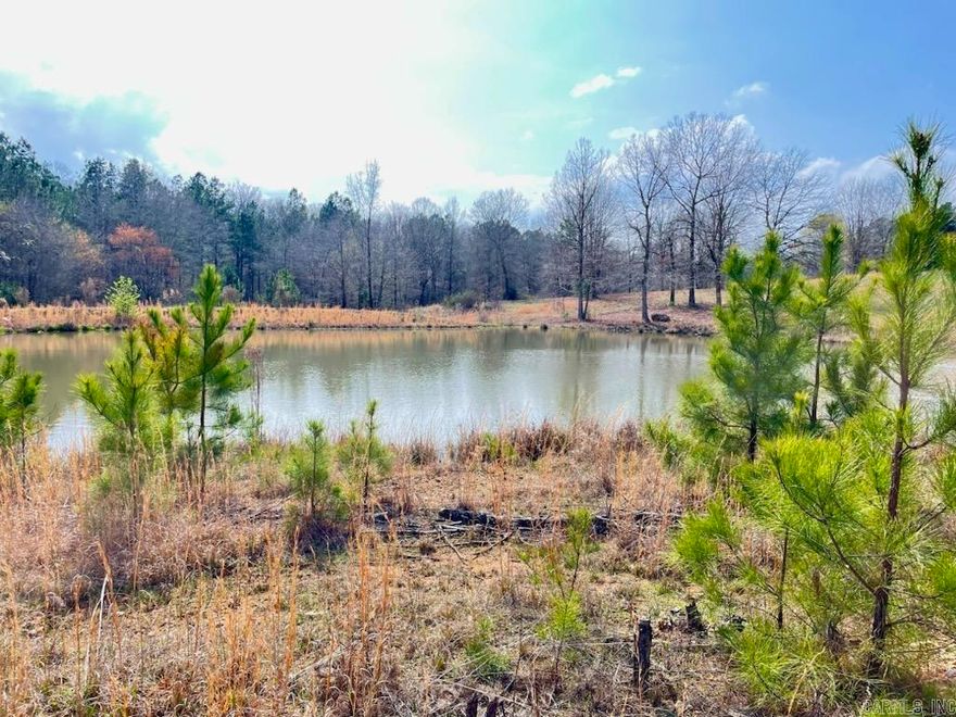 Beautiful Property with a stocked pond and lots of Blackberries. Several spots to build a house. Property is bushhogged for clearing and access. Some timber on the back of the property. Great location. Close to I30, Arkadelphia and Caddo Valley. Minutes from Lake DeGray and Caddo River. Close to local hospital and schools. Utilities not on Site, but located on Lower Lake Road.