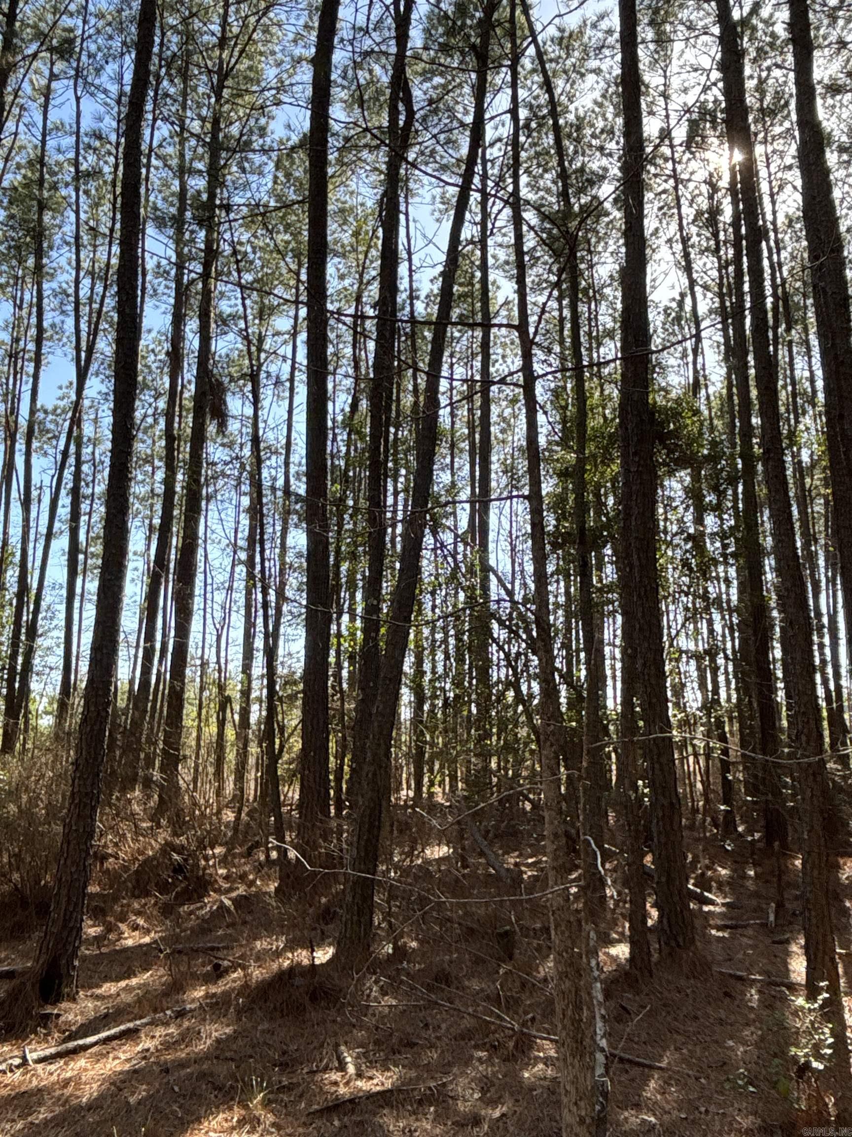 Sparkman Original - Land