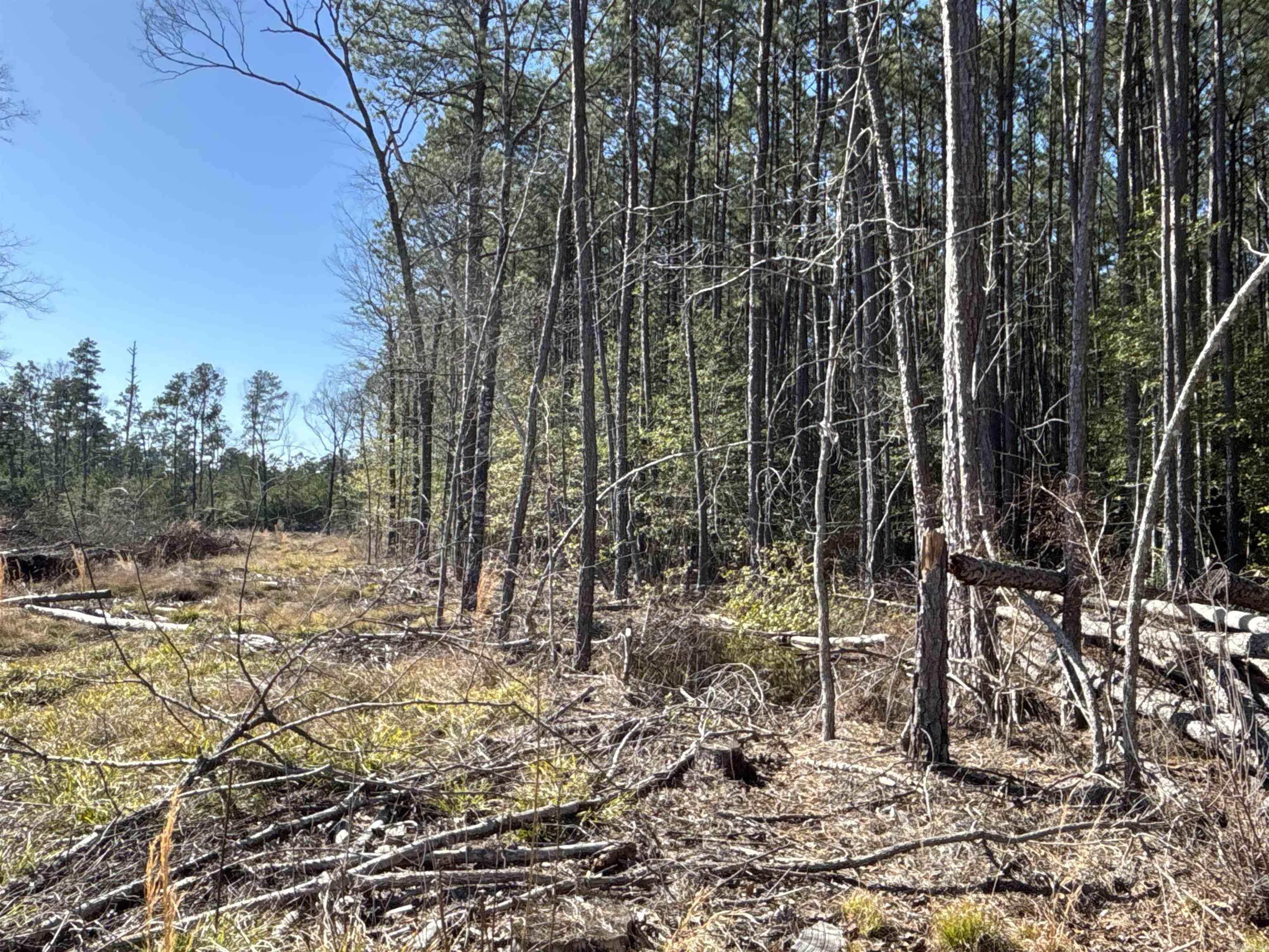 The āCounty Line 20ā (#03019-04043) is a ±20-acre tract located in the western part of Dallas County near the Clark County line. A 40+ year-old pine plantation covers this entire tract. Looking for a smaller timber investment with great revenue potential? Look no further because this is it! Contact the Neeley Team with United Country ā Neeley Forestry Service, Inc. at 870-836-5981 and ask about the County Line 20 or check this property out online at UCNeeleyForestry.com! This offering does not include mineral interests.