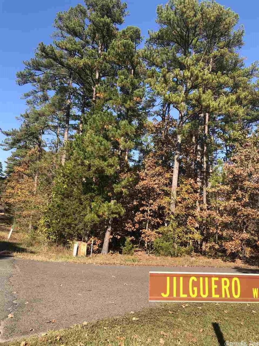 Beautiful, level corner lot surrounded by very nice homes and located near Balboa Golf Course. Broker owned!