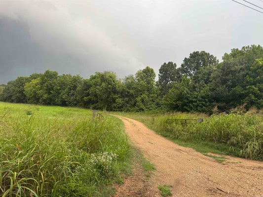 463 COUNTY ROAD 352, PIGGOTT, AR 72454 - Image 50d76ea7ab46cbb58f219fd0e25bf976/55818522
