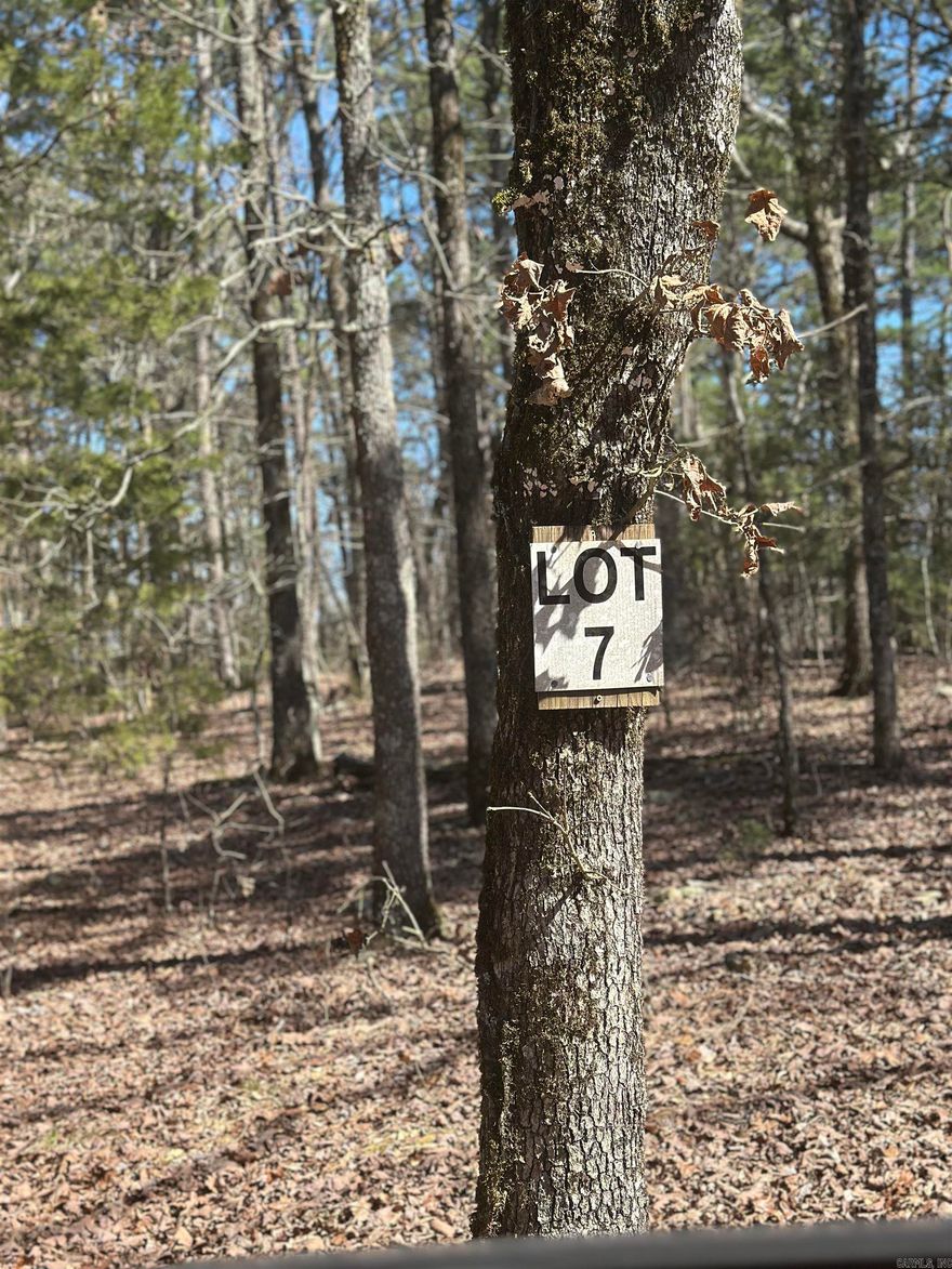 Holy cow! This is the small acreage you have been looking for! Located east of Mena in the Nunley community, this beautiful wooded property is ready for your custom home to be built. This property is beautifully  wooded with utilities nearby by and you are only a few minutes to the Wolfpen gap trailhead!