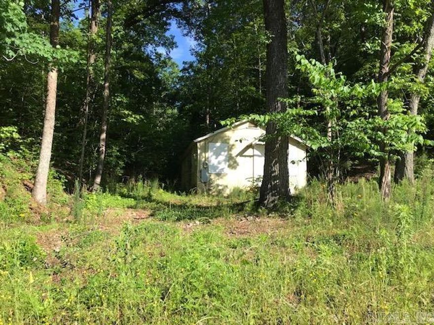 OWN A PIECE OF HISTORY THE RARE CRYSTAL CAVE DRIPPING SPRING!!  This property has 2 lots. One is a 1.75 acres lot and the other is 1.25 acres lot (MOL) The two lots feature 2 unique springs. One of the springs is the rare & historic attraction, The Crystal Cave Dripping Spring!! There is a tiny home on the 1.25 acre lot (condition unknown) There is septic on each lot (condition unknown) Both lots have water meters and electric.  This could be a great place to put a rental that is perfectly located just 5 minutes from the new Hwy 70 bypass. This property is also located 10 minutes from beautiful downtown Hot Springs Bathhouse Row, and 15 minutes from Oaklawn Racing & Casino! *You may purchase both lots for $149,900 or the 1.25 acre lot with small spring for $49,900, and the 1.75 acre lot with cave spring for $99,900. **SELLING AS IS WHERE IS. NO SELLER DISCLOSURE ***SCHEDULE YOUR SHOWING! STEPS TO CAVE ARE WET AND SLIPPERY! VIEW AT YOUR OWN RISK!
