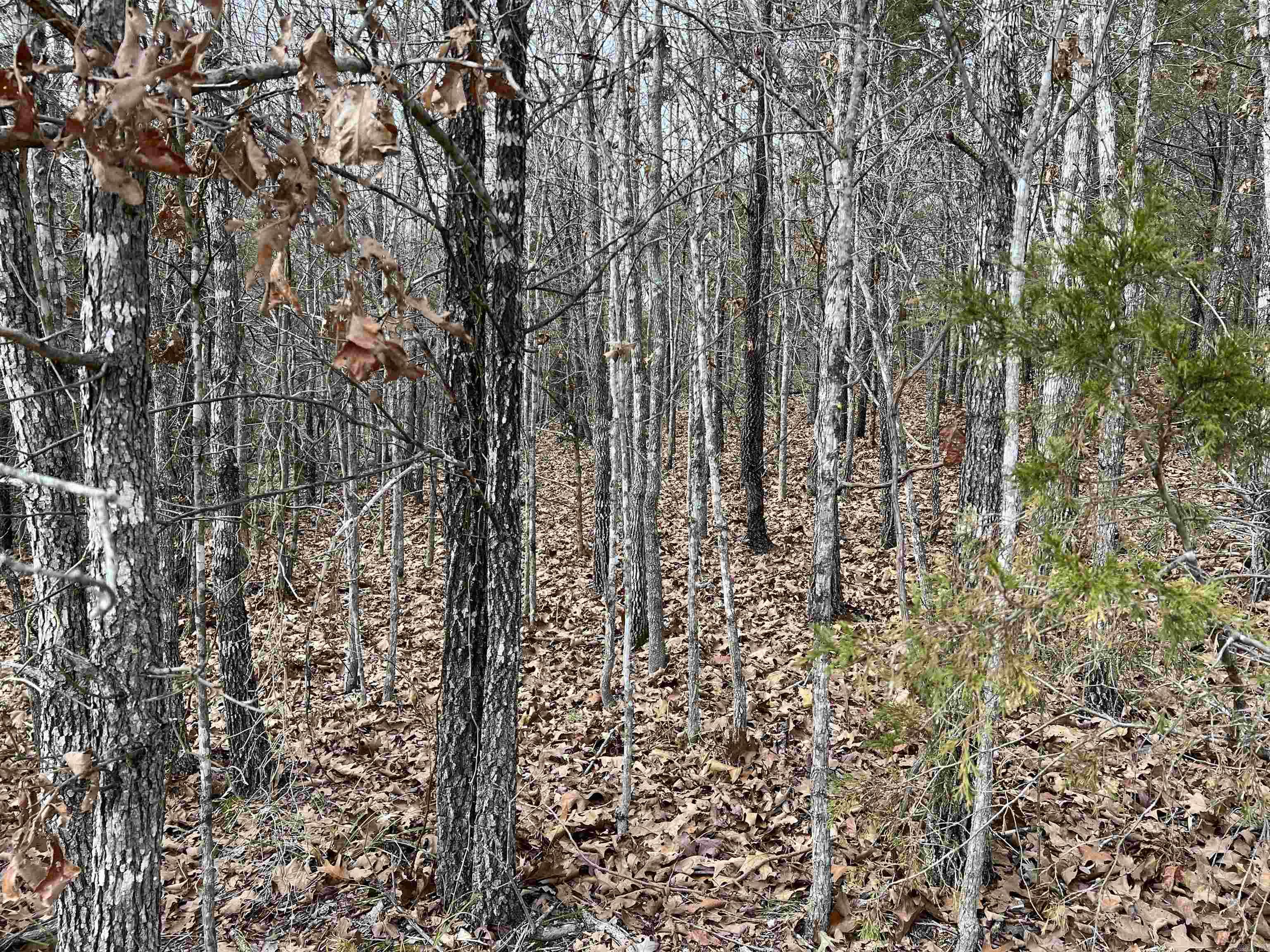 Metes & Bounds - Land