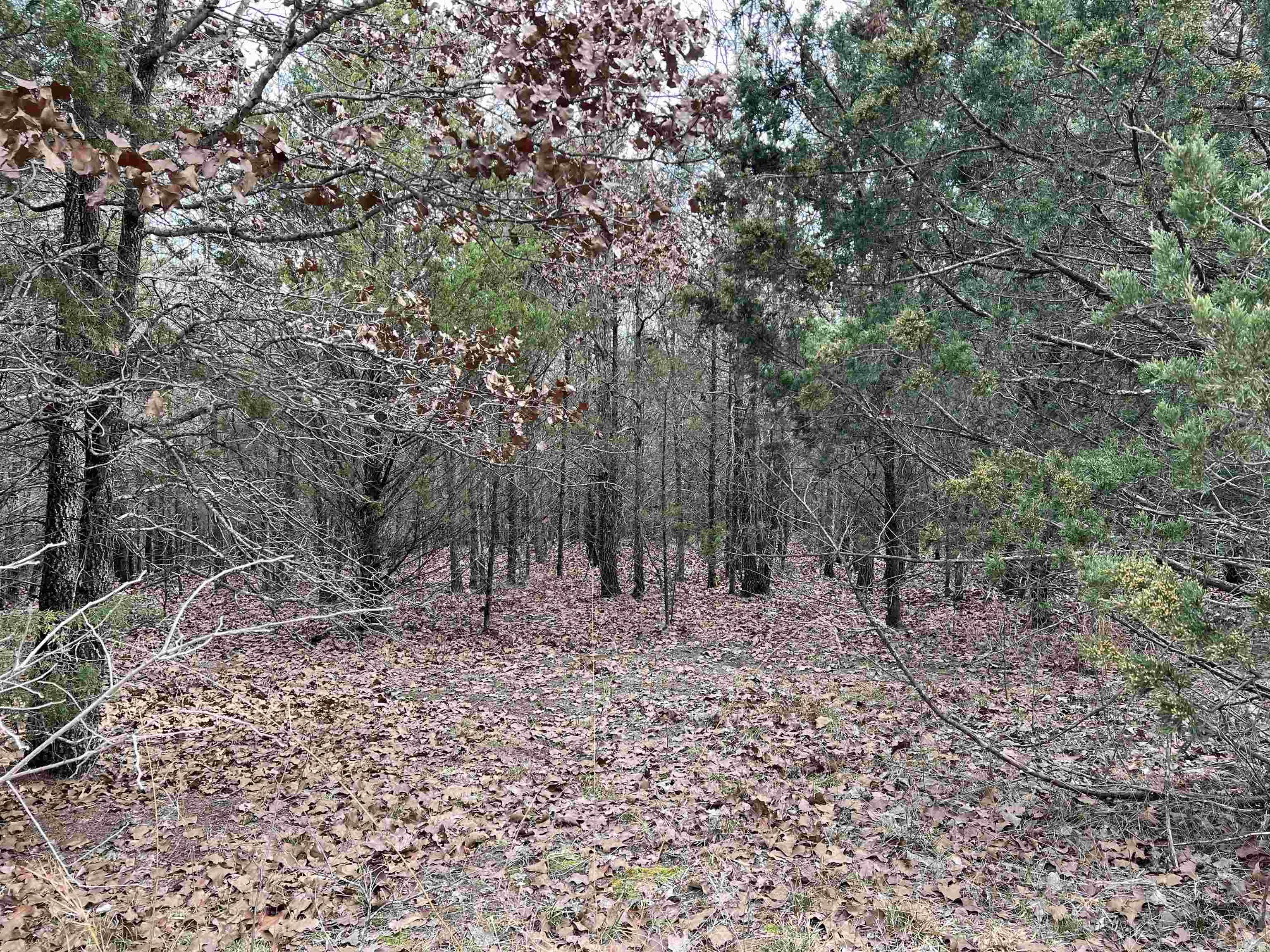 Metes & Bounds - Land