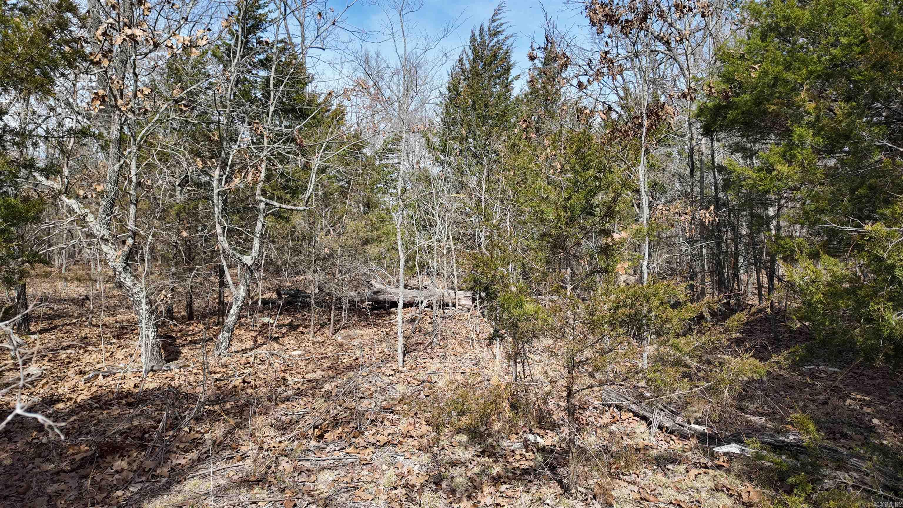 Metes & Bounds - Land