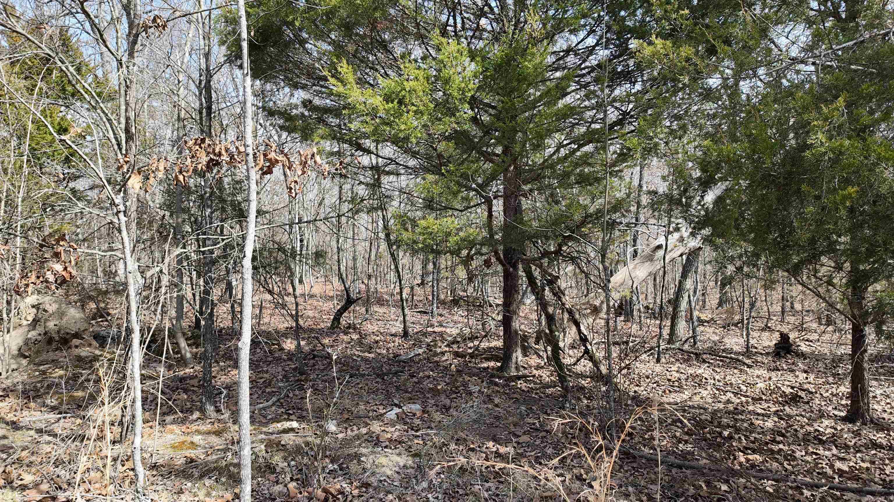 Metes & Bounds - Land