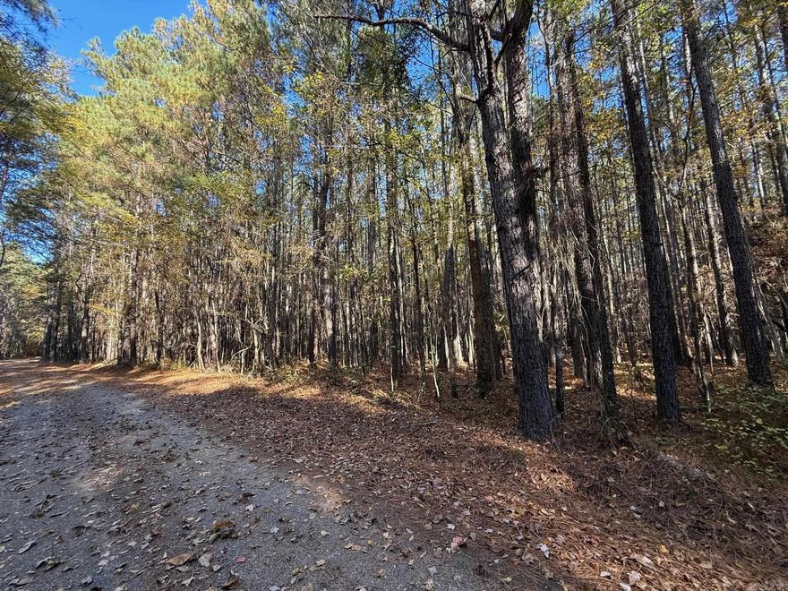 31.25 acres of Pines, this property would be great for recreational hunting or you could build a home away from everyone.  Call us today!!!