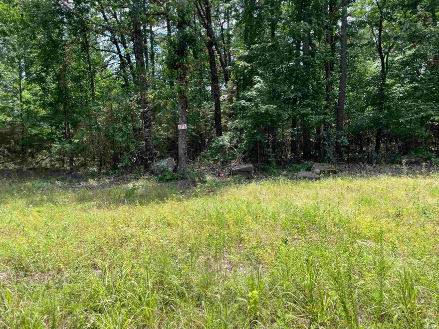 Nice flat lot. There is a utility easement on the back side of property so no one can build on it. Cut the right trees for lots of privacy. Convenient to shopping in the town of Greers Ferry. This is a superb location for a vacation/weekend getaway or a permanent home. Lake access on Twin Coves just around the corner!!