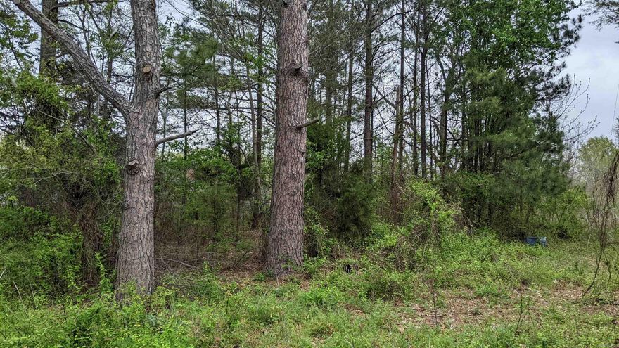 Beautiful lot ready to build your new home on in a desirable neighborhood in Lonoke.  Close to town. Quiet street.  They aren't making any more land so don't miss this opportunity.
