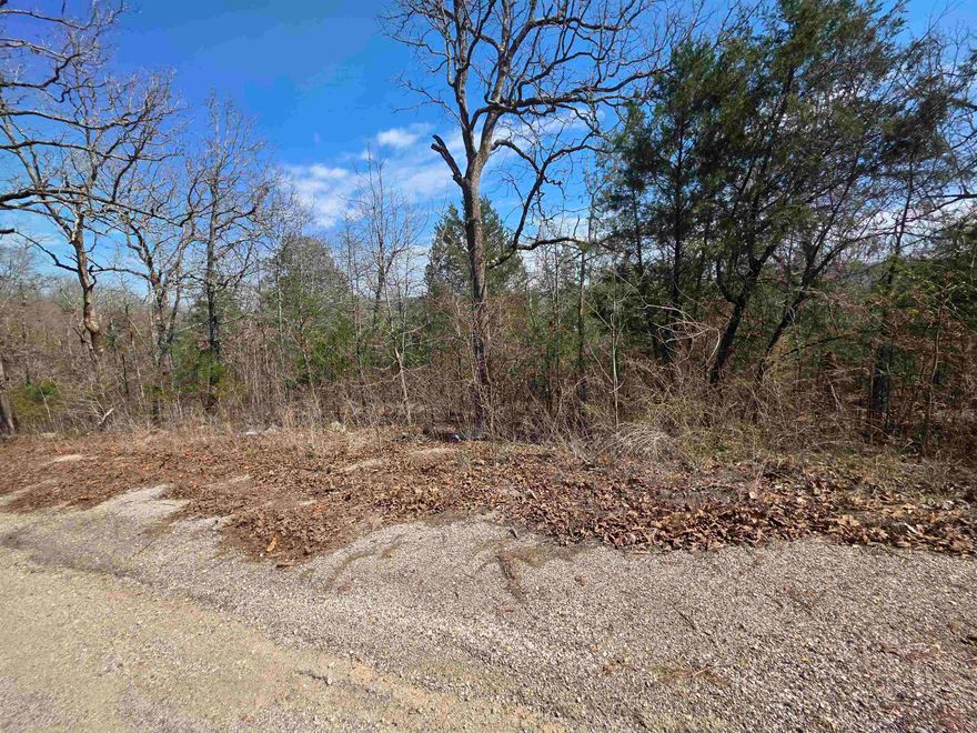 Nice lot with a gentle front to back downward slope. Lots of trees and lots of nature and wildlife. Come check this lot out, check out the view and see where you want to put your vacation home or your forever home. Retire here and fish 7 different lakes and golf 2 different 18-hole golf courses. Don't forget about the beautiful South Fork River that flows right through the Village. Shop in Old Hardy town and trout fish the Spring River. That's living the Cherokee Village lifestyle.