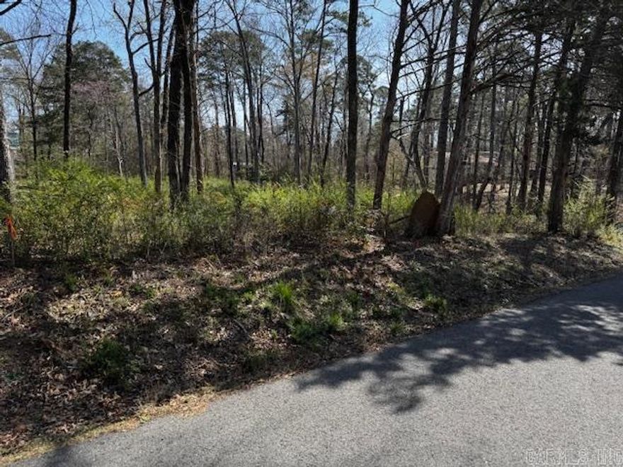Great piece of property located just minutes away from Shiloh Marina and Lacey's Marina. This lot is an ideal spot for your dream lake house or cabin.  Conveniently located near local dining and shopping.  Possibilities are endless.