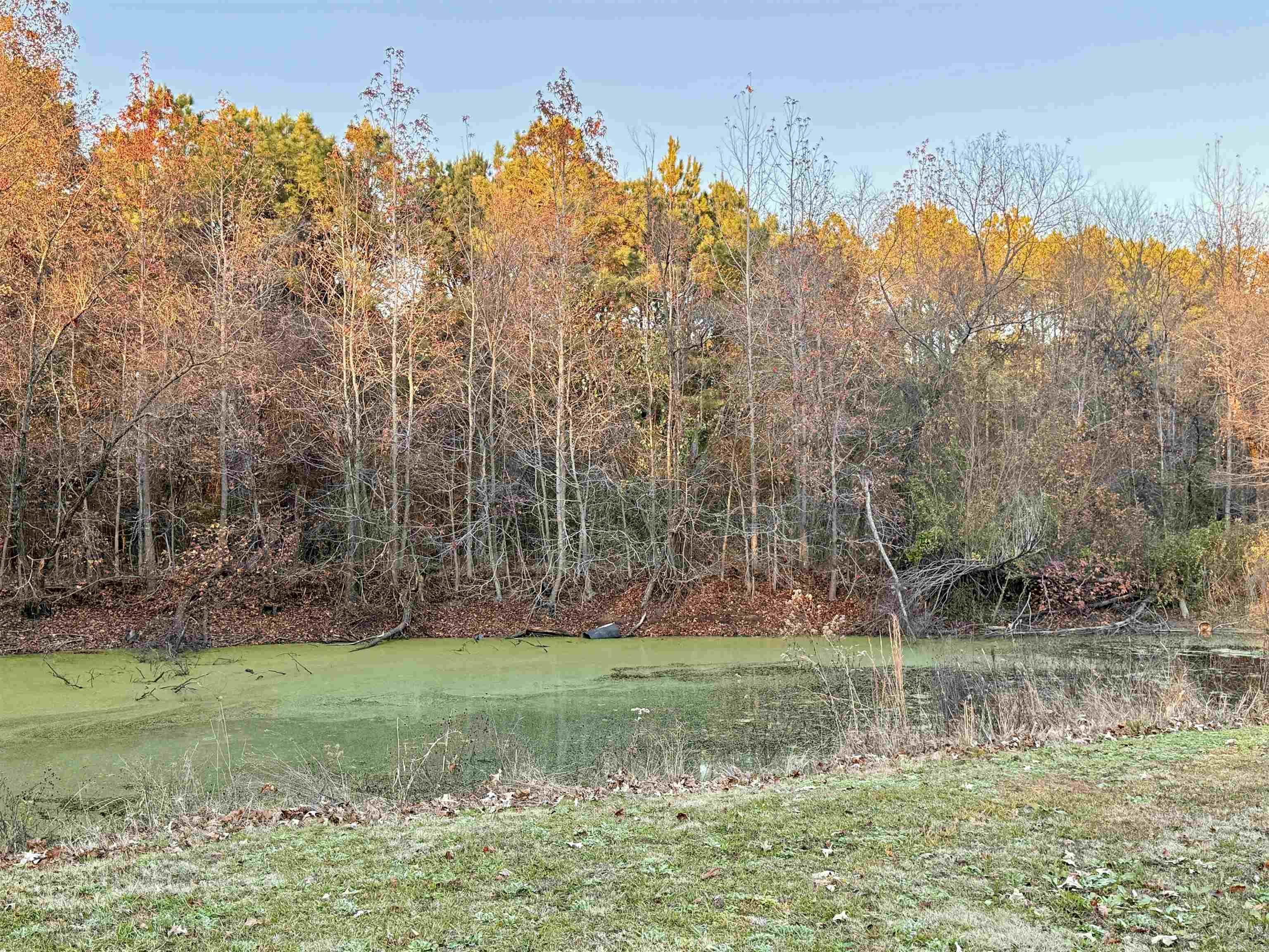 Sandras Acres - Residential