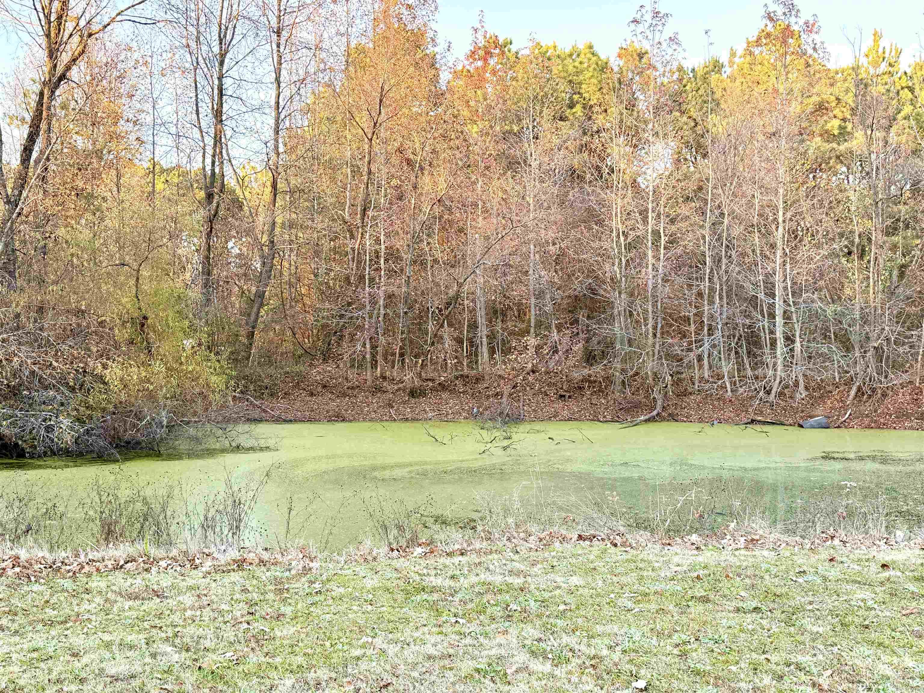 Sandras Acres - Residential