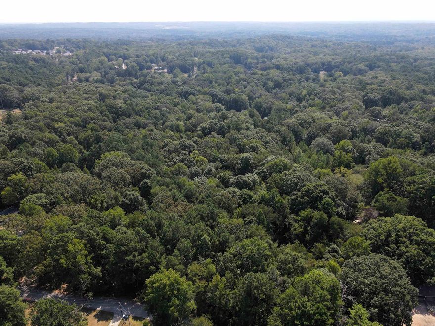 - 11 +/- acres of timber - Numerous build sites - Utilities near the property - Mature pine & hardwood mix - Heavy mast producing trees - Paved road frontage - Rolling topography - Excellent wildlife population - Benton City Limits - 3.3 miles to I-30 in Benton
