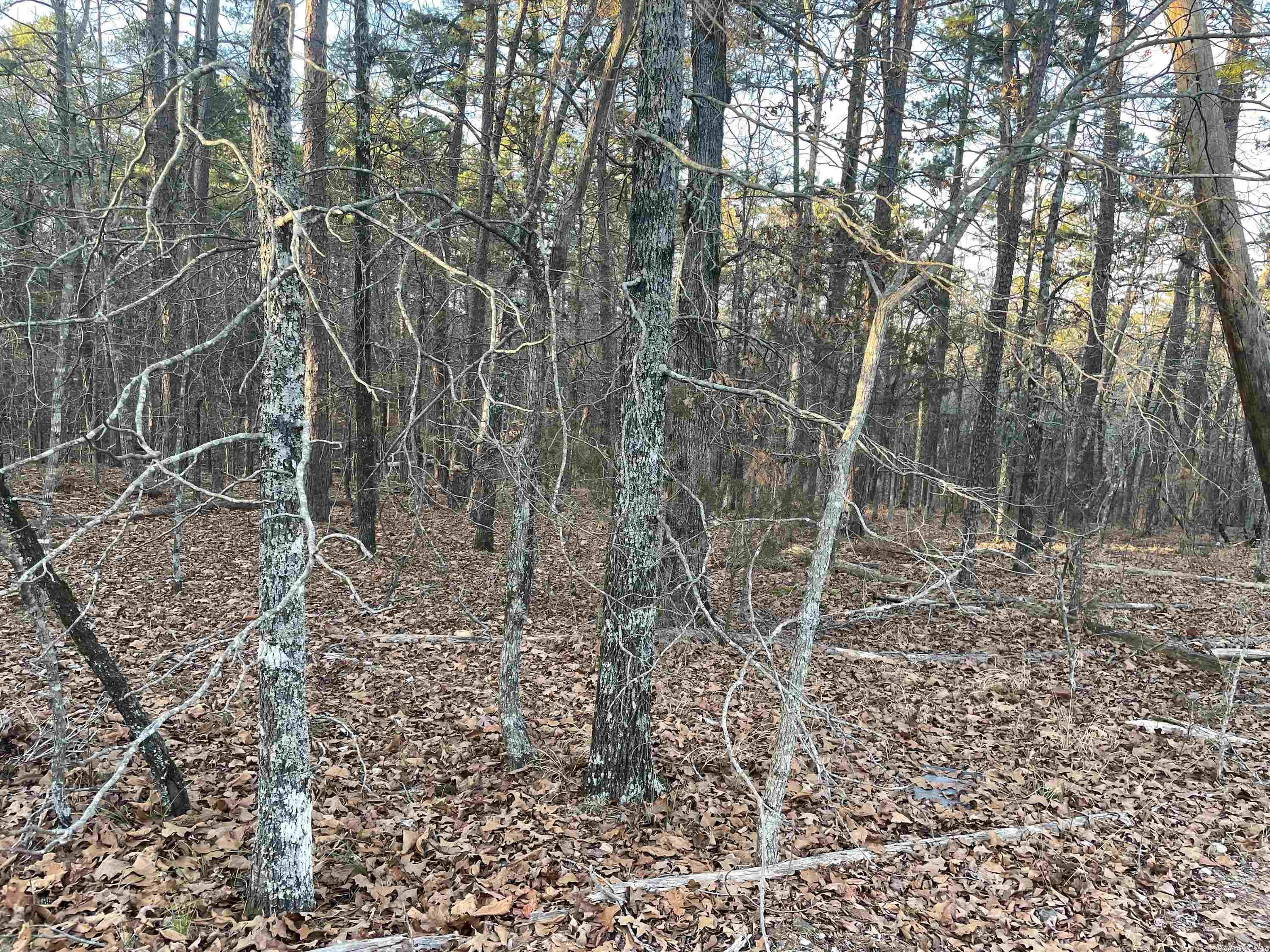 Looking for a lot to build your next home? Look no further! Beautiful location just waiting for its new owner.