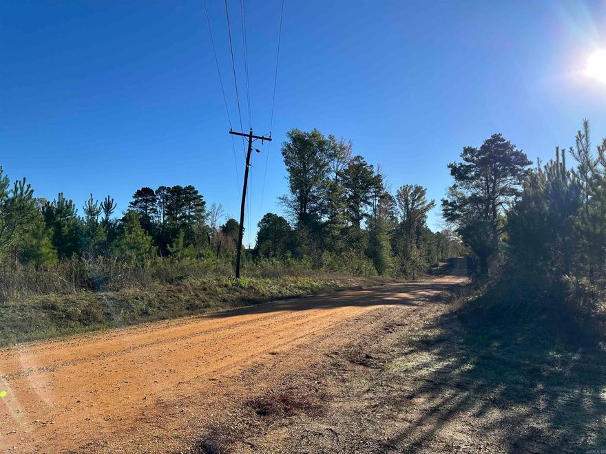 The Judge Roberts Road North Tract is in the west-central part of Bradley County, Arkansas approximately 6.5 miles southwest of Warren.  Access to the property is good from Judge Roberts Road, a county-maintained gravel road. There are typical rural utilities (electric, phone, and rural water) on this road. This tract was planted with loblolly pine in 2020 that provides a great timber investment! Whether you are looking for a place to build your dream home, convert the plantation to pasture and build a farm, keep the tract as a timberland investment, or just looking for a place to hunt or just ‘get away’, check on the ‘Judge Roberts Road North Tract’!