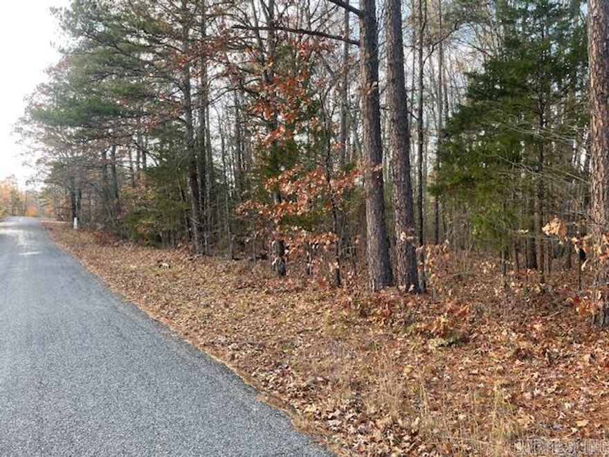 Airport strip property! Here's the perfect opportunity to purchase a nice lot at beautiful SkyPoint Estates.  The lot backs up to the airport landing strip and fronts Davidson.  Great neighborhood.