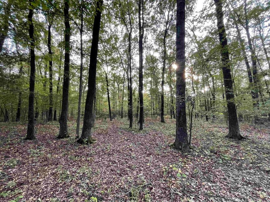 11.02 +/- acres of beautiful hardwoods with endless opportunities! Build your dream home or use for recreational hunting. Easement in place. Agents see remarks.