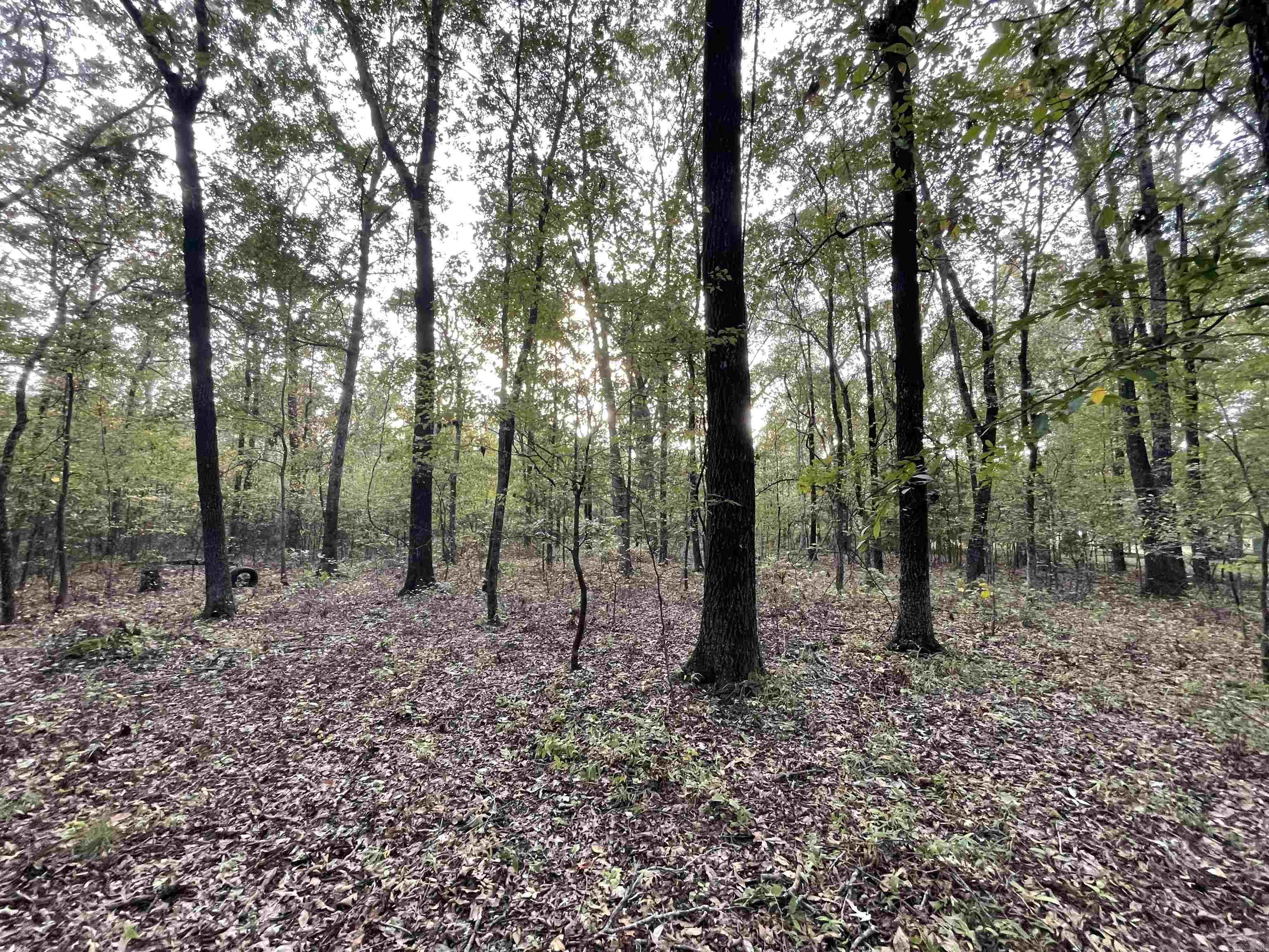 Not in Subdivision - Land