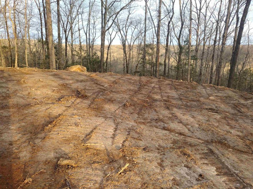 This property joins city limits featuring started house pad making it easier to build your dream home this property also offers wet weather creek and mountain views that adds natural beauty, perfect setting for peaceful country living will all convenance's