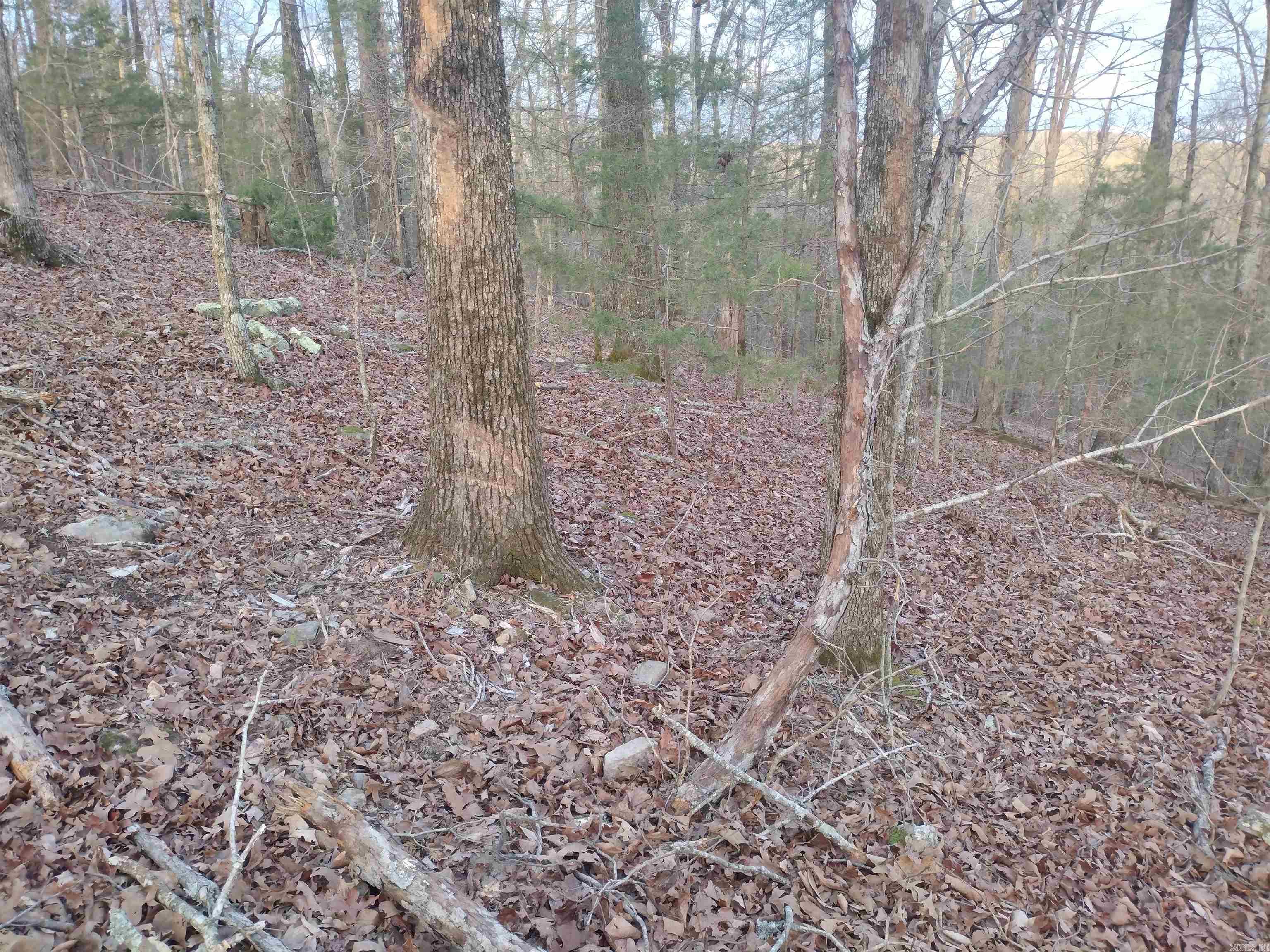 Metes & Bounds - Land