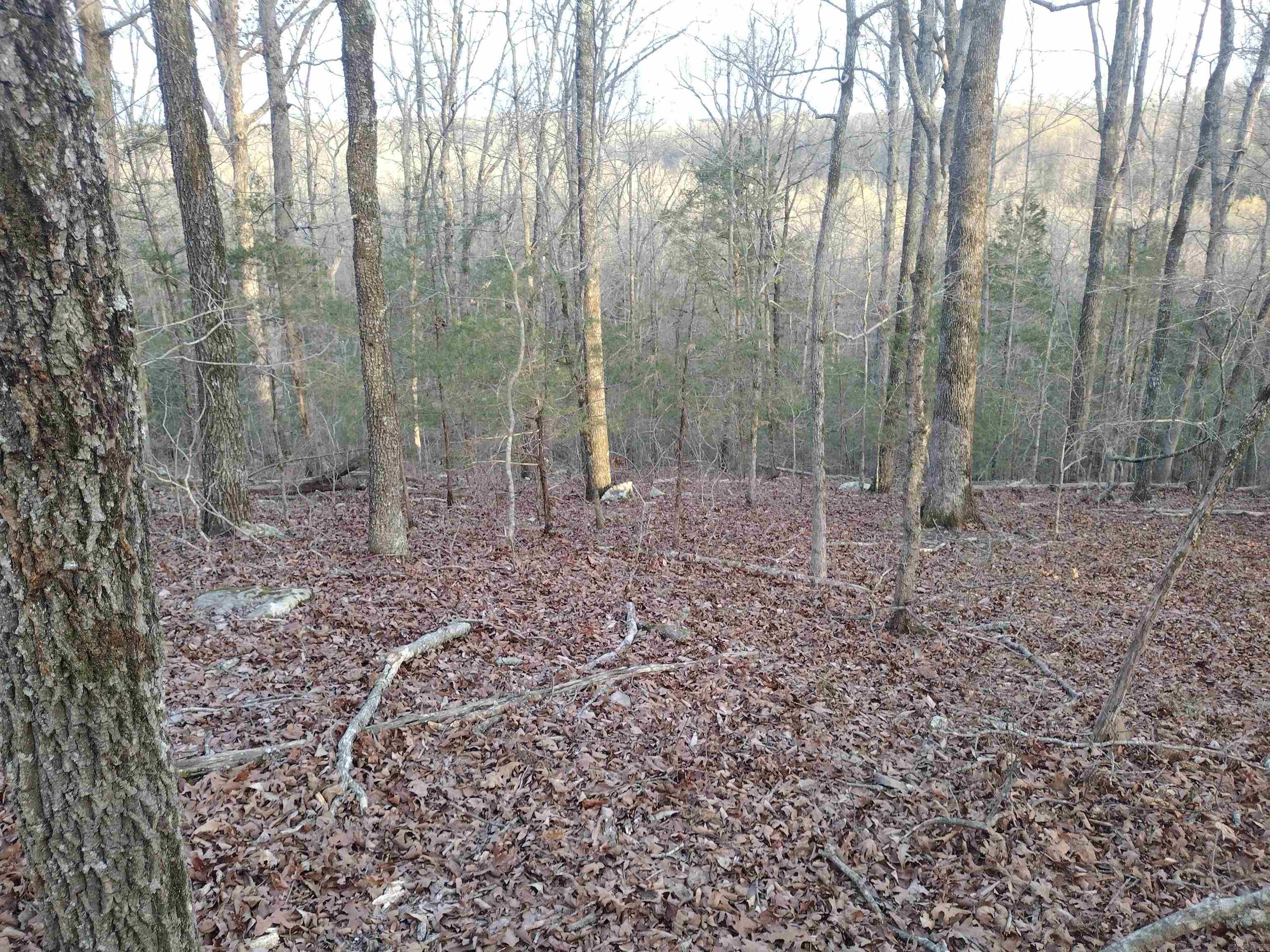 Metes & Bounds - Land