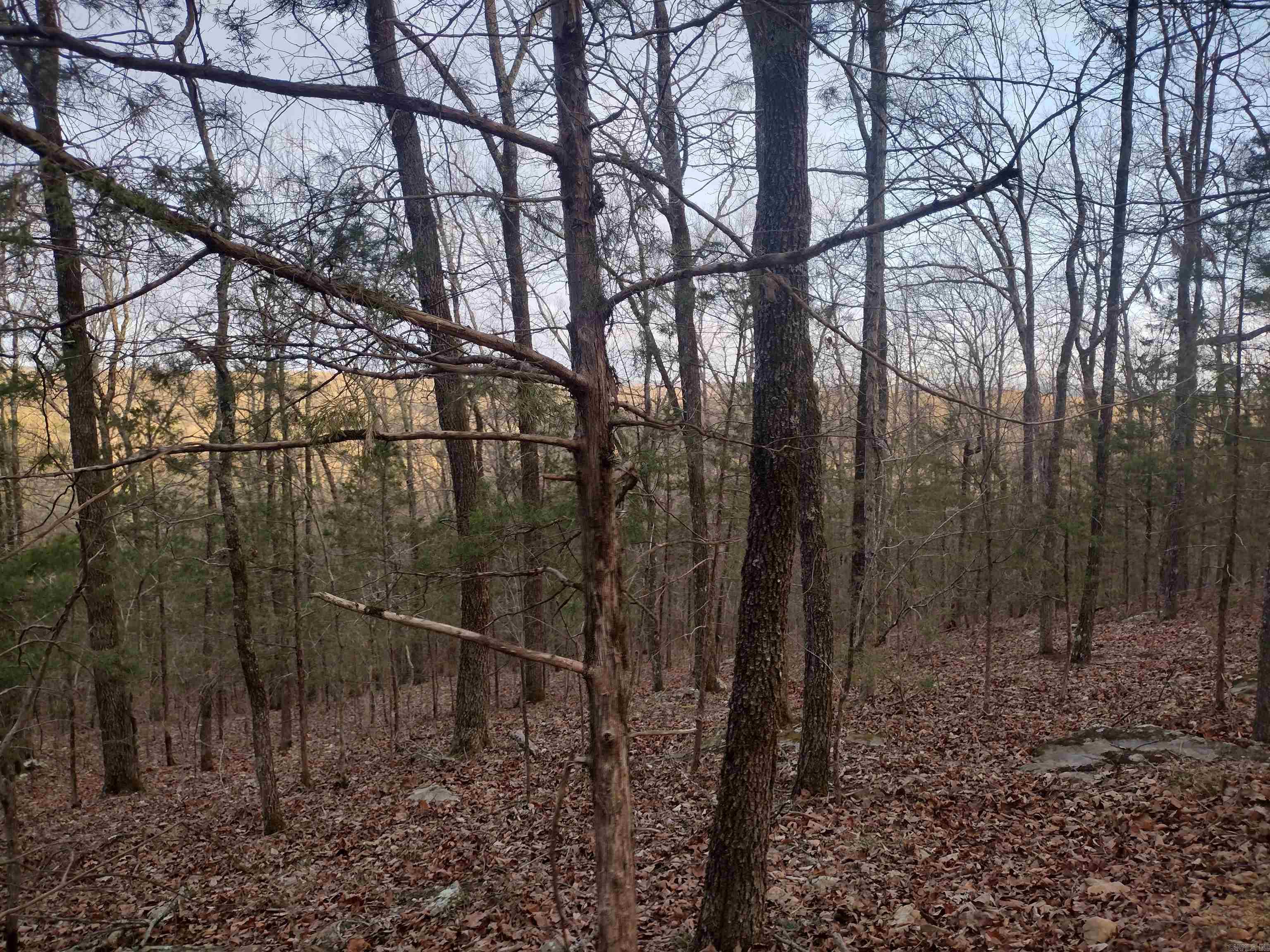 Metes & Bounds - Land