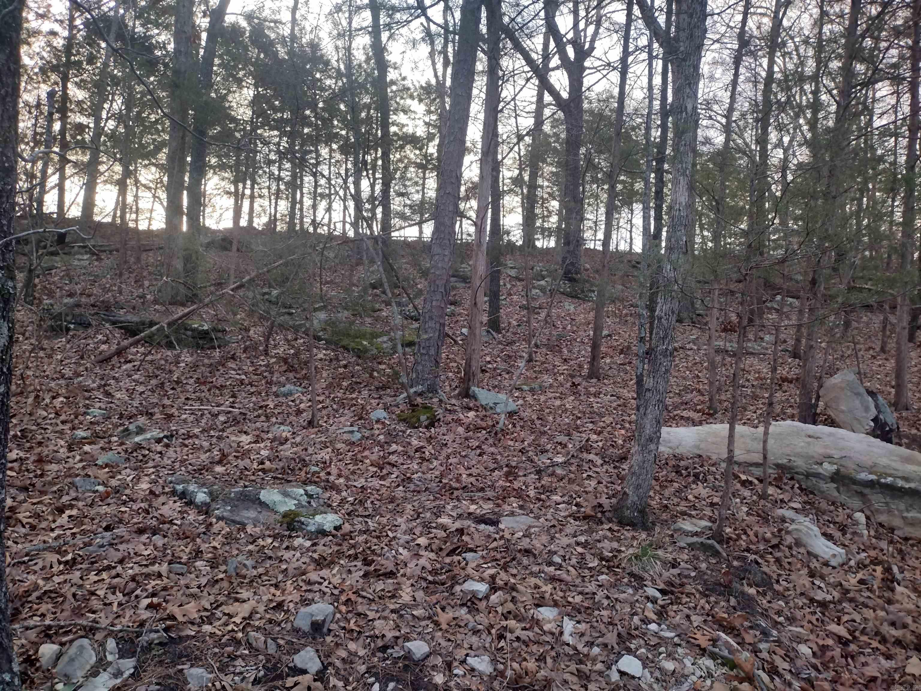 Metes & Bounds - Land